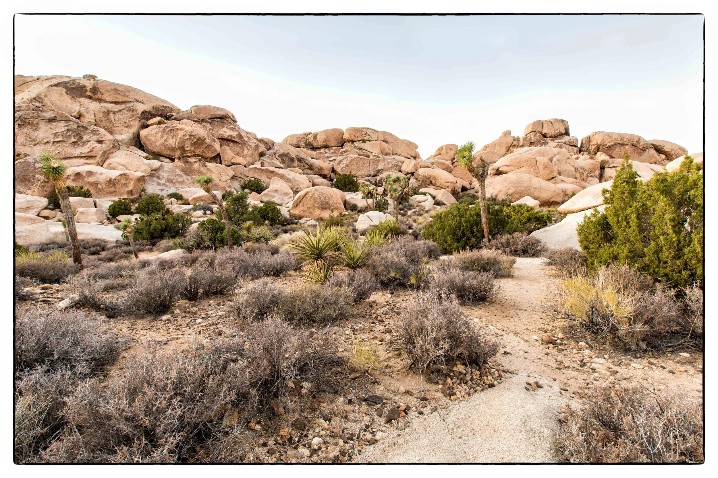 Palm Desert 2023-59.JPG
