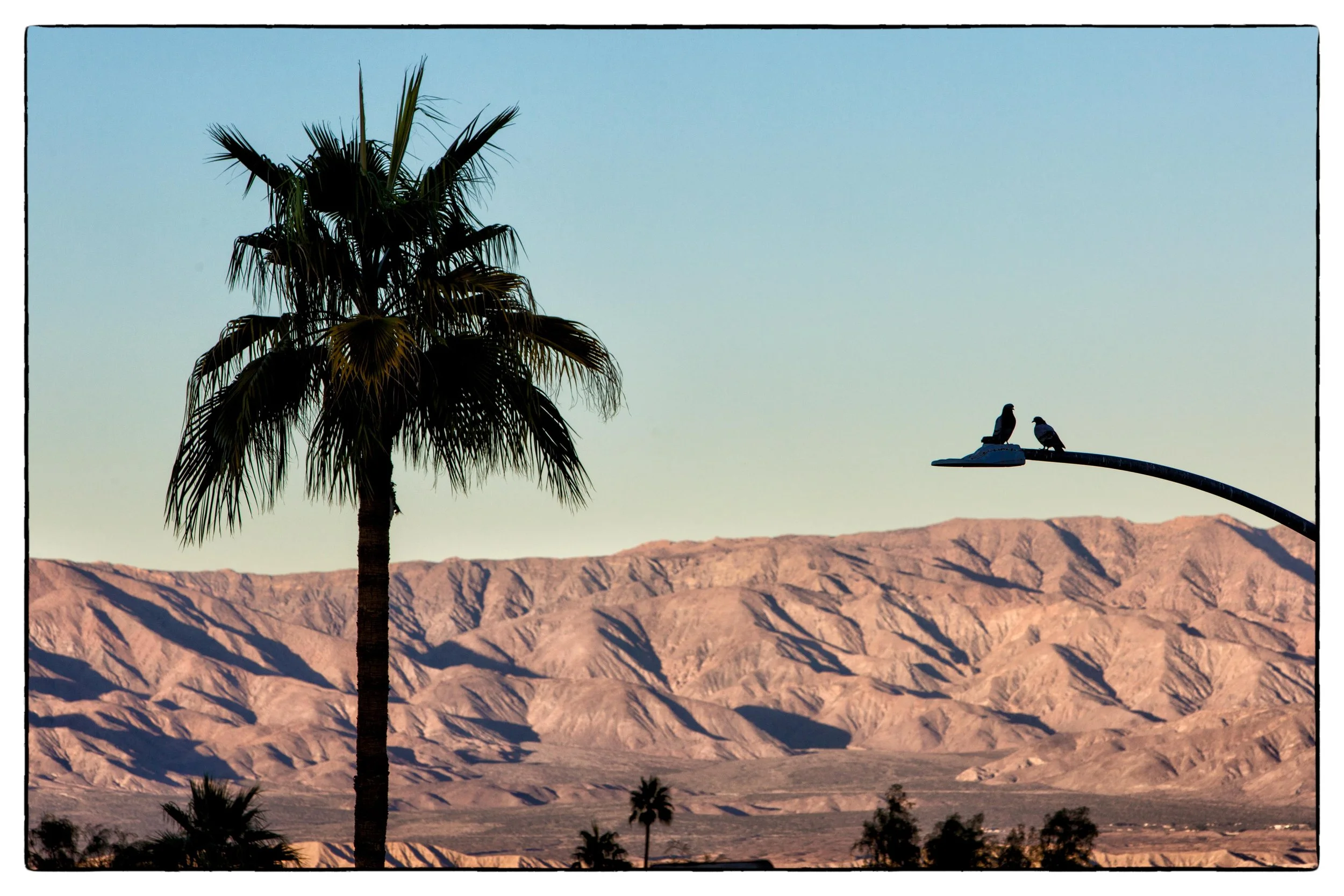 Palm Desert 2023-75.JPG