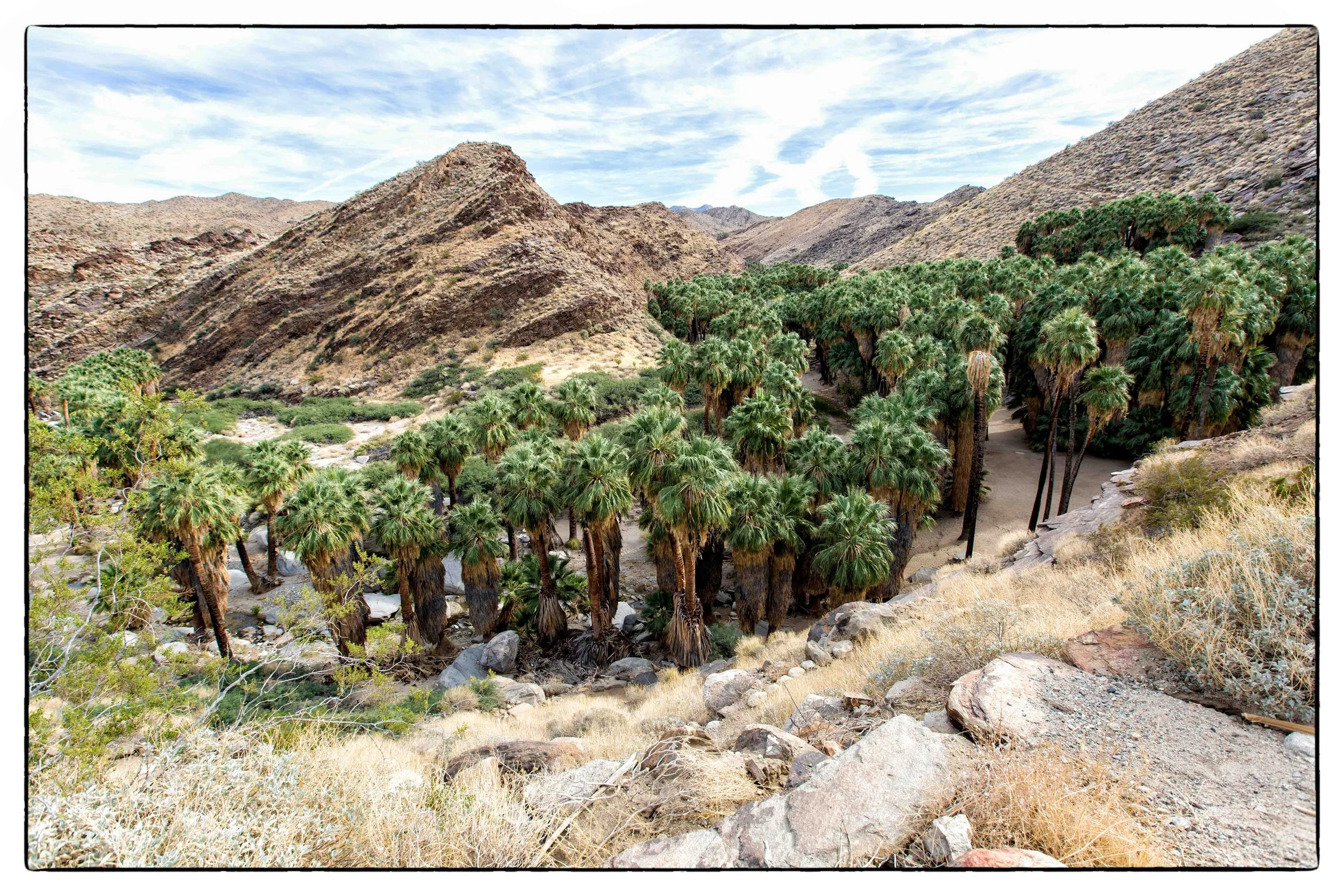 Palm Desert 2023-78.JPG