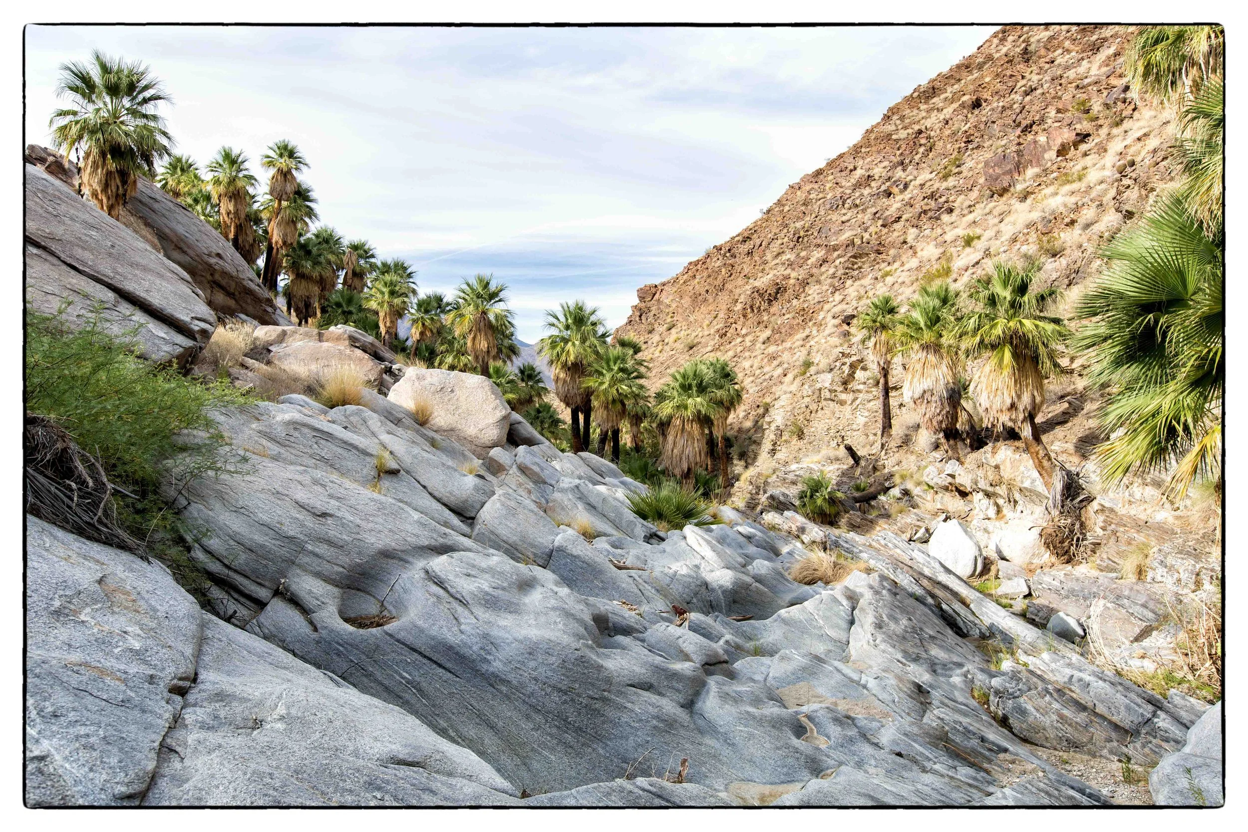 Palm Desert 2023-91.JPG