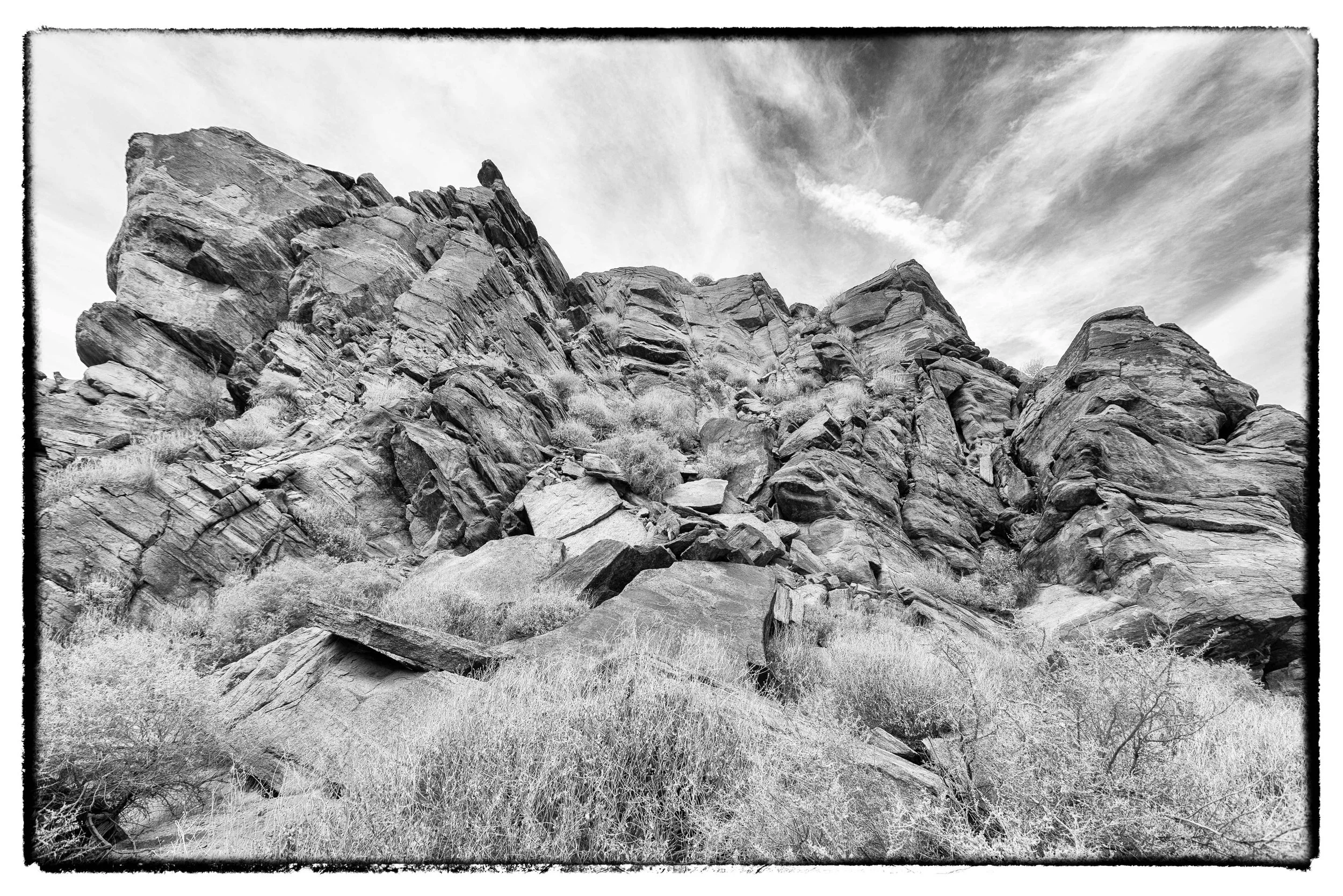 Palm Desert 2023-96.JPG