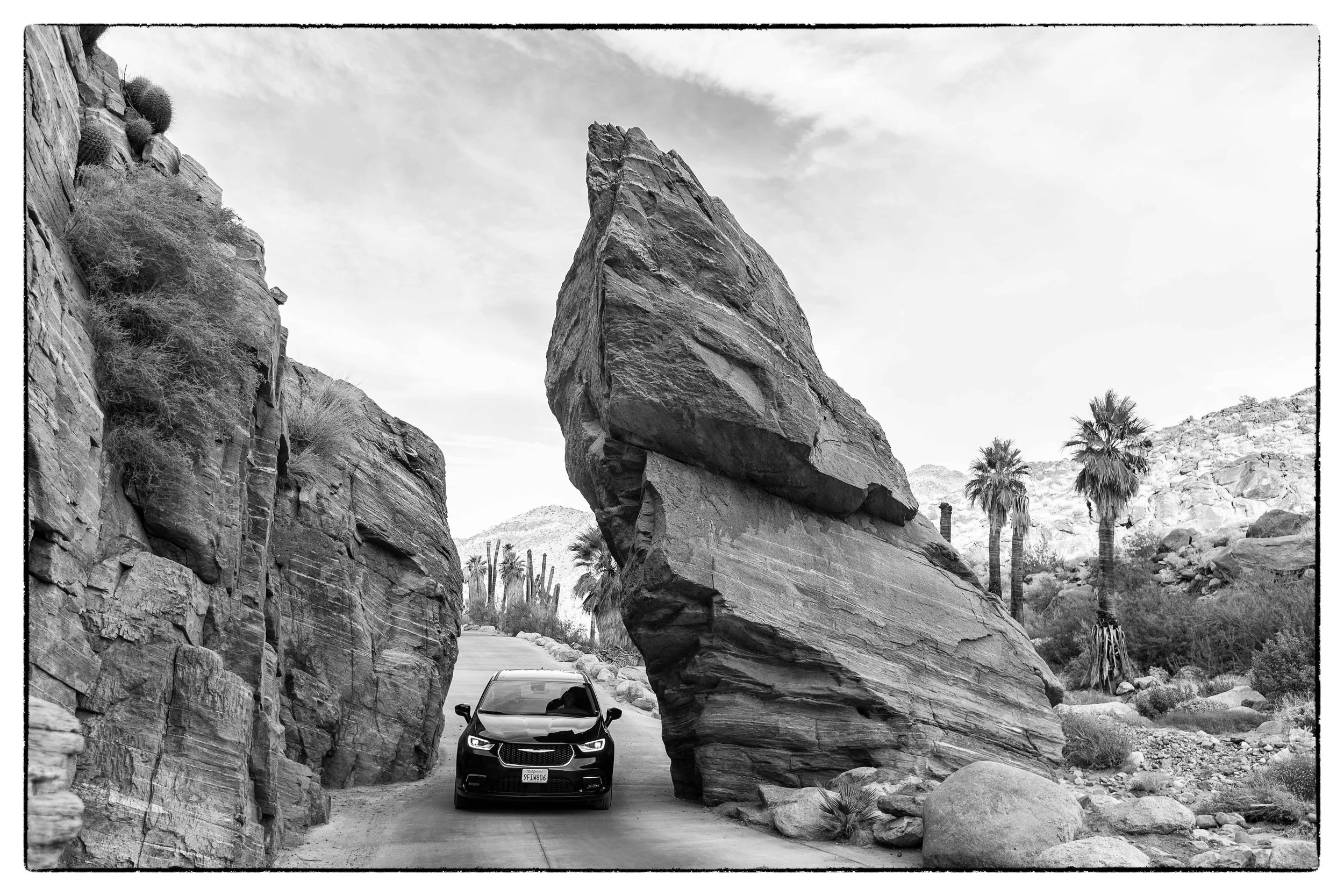 Palm Desert 2023-100.JPG