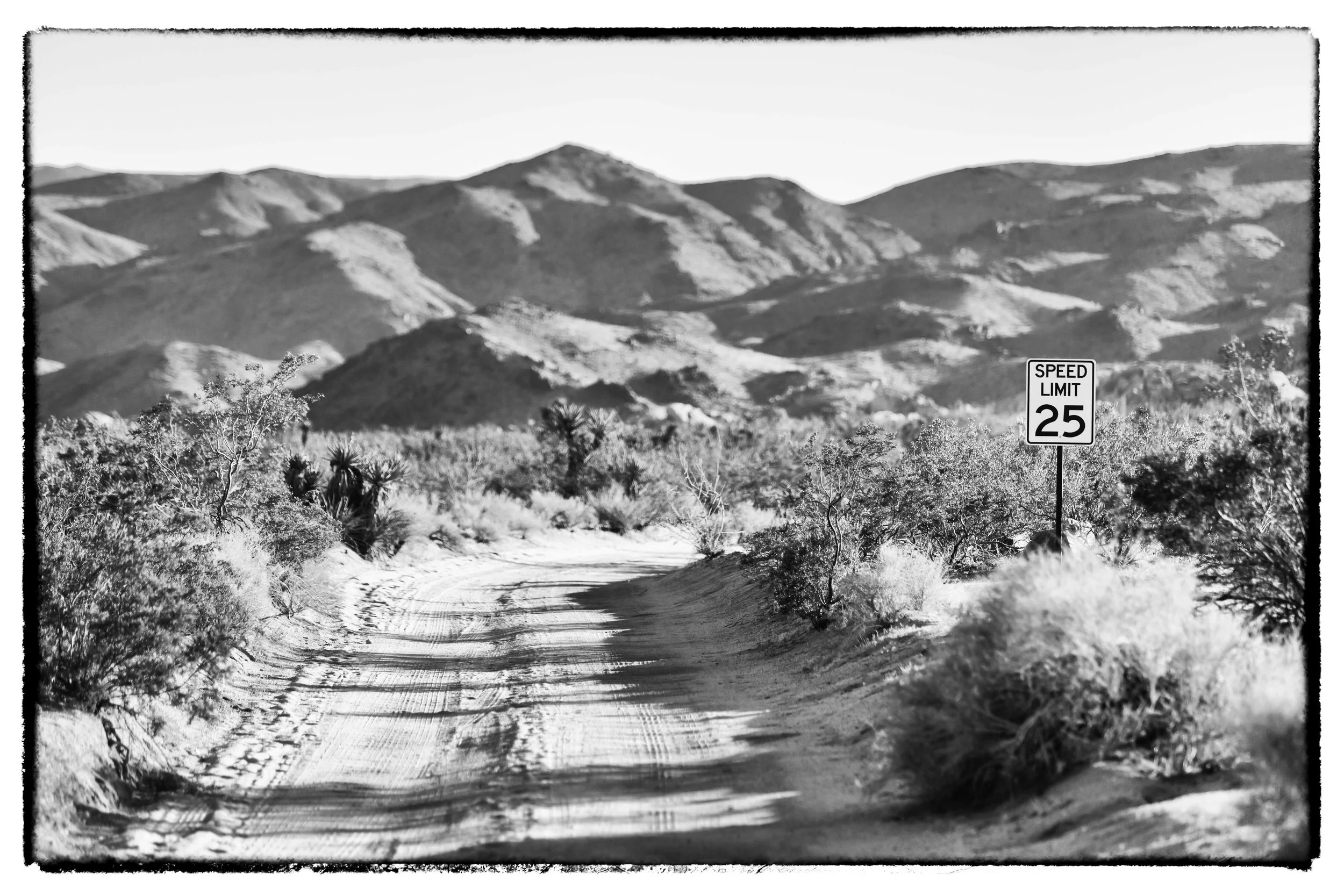 Palm Desert 2023-36.JPG