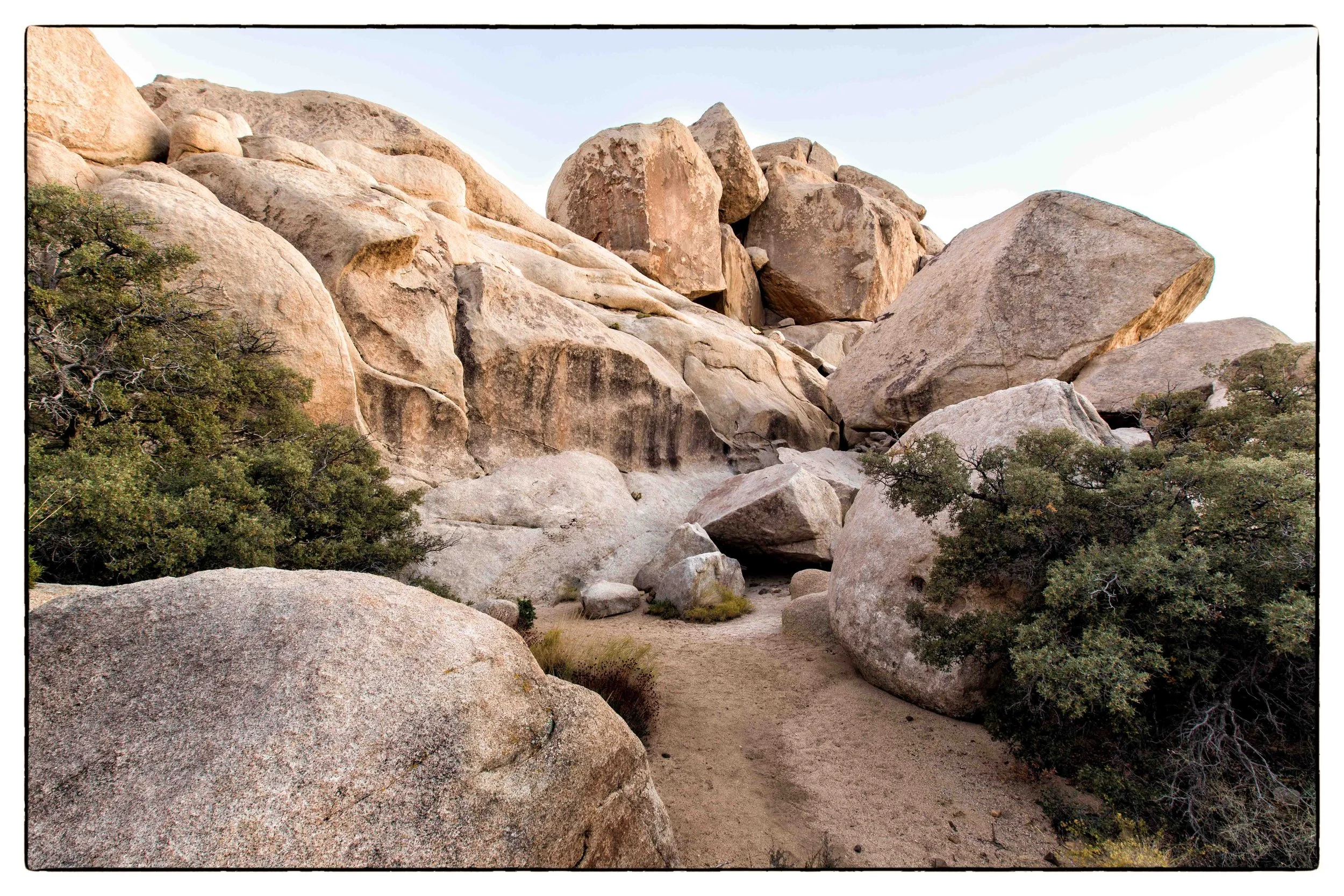Palm Desert 2023-19.JPG