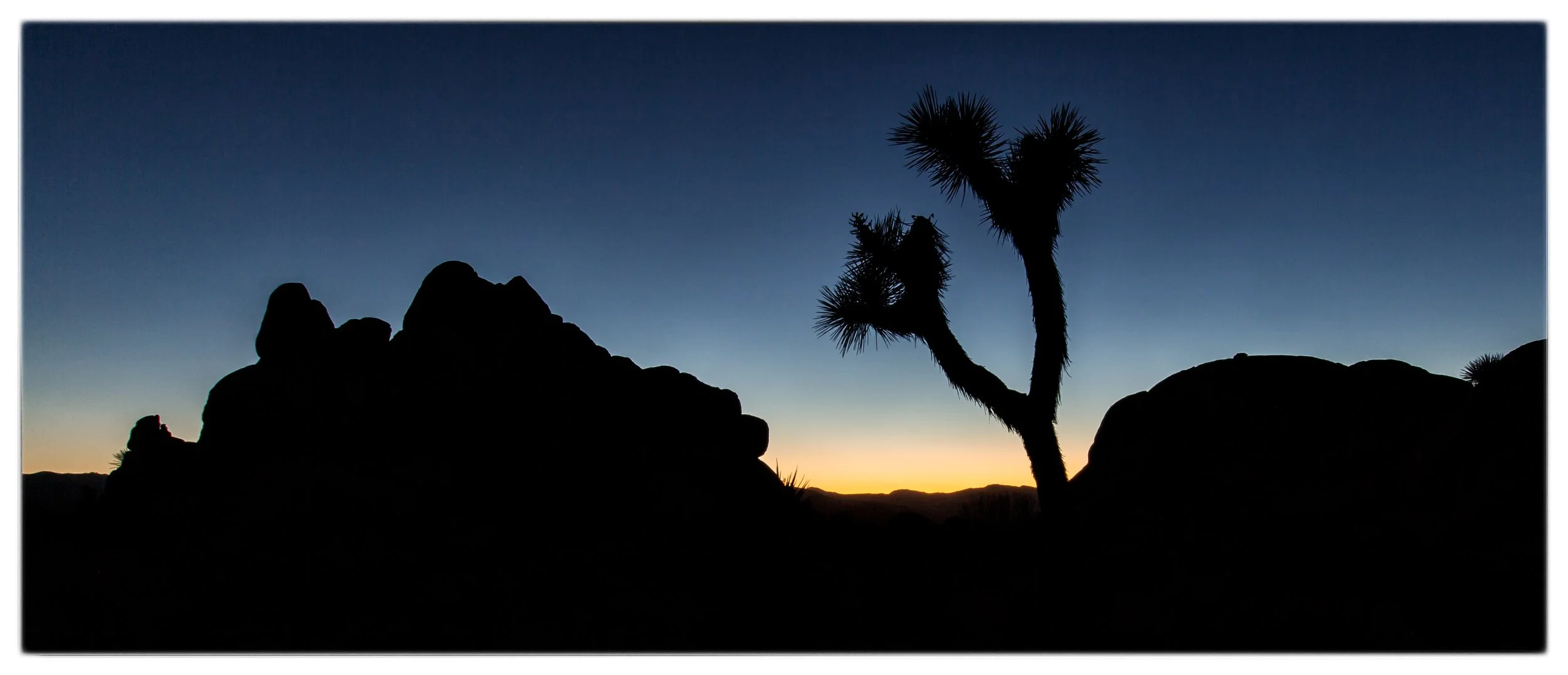 Palm Desert 2023-63.JPG