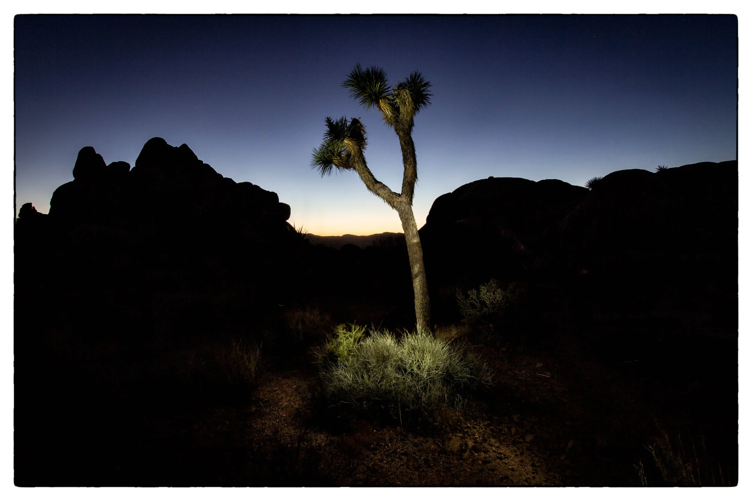 Palm Desert 2023-64.JPG