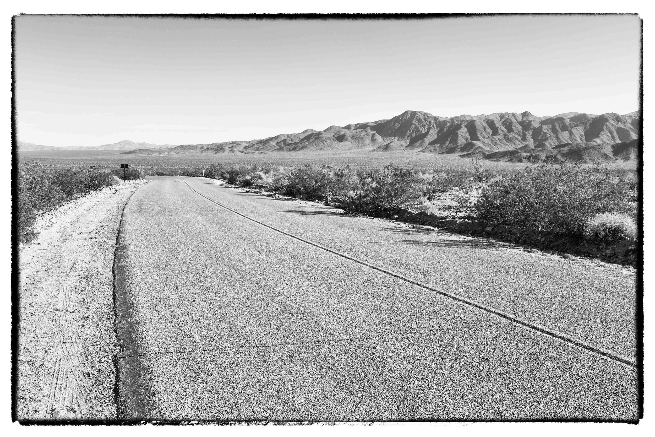 Palm Desert 2023-4.JPG