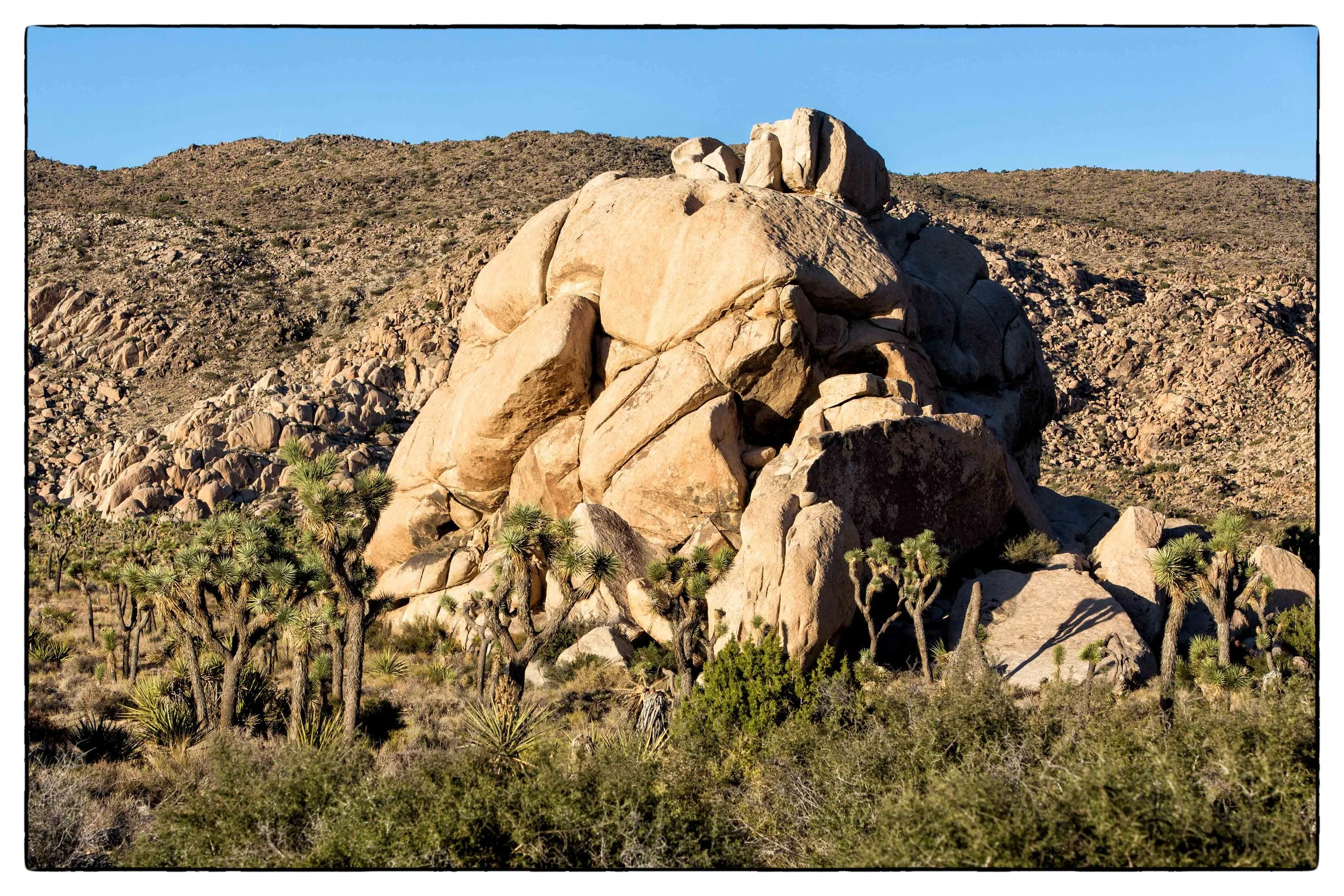 Palm Desert 2023-41.JPG