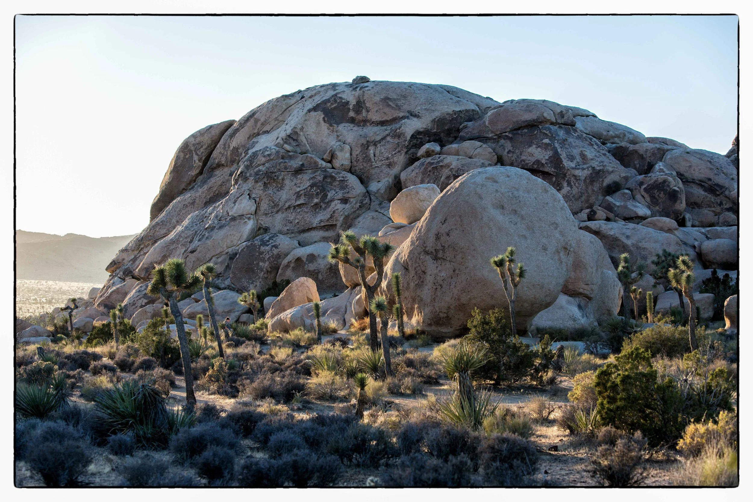 Palm Desert 2023-51.JPG