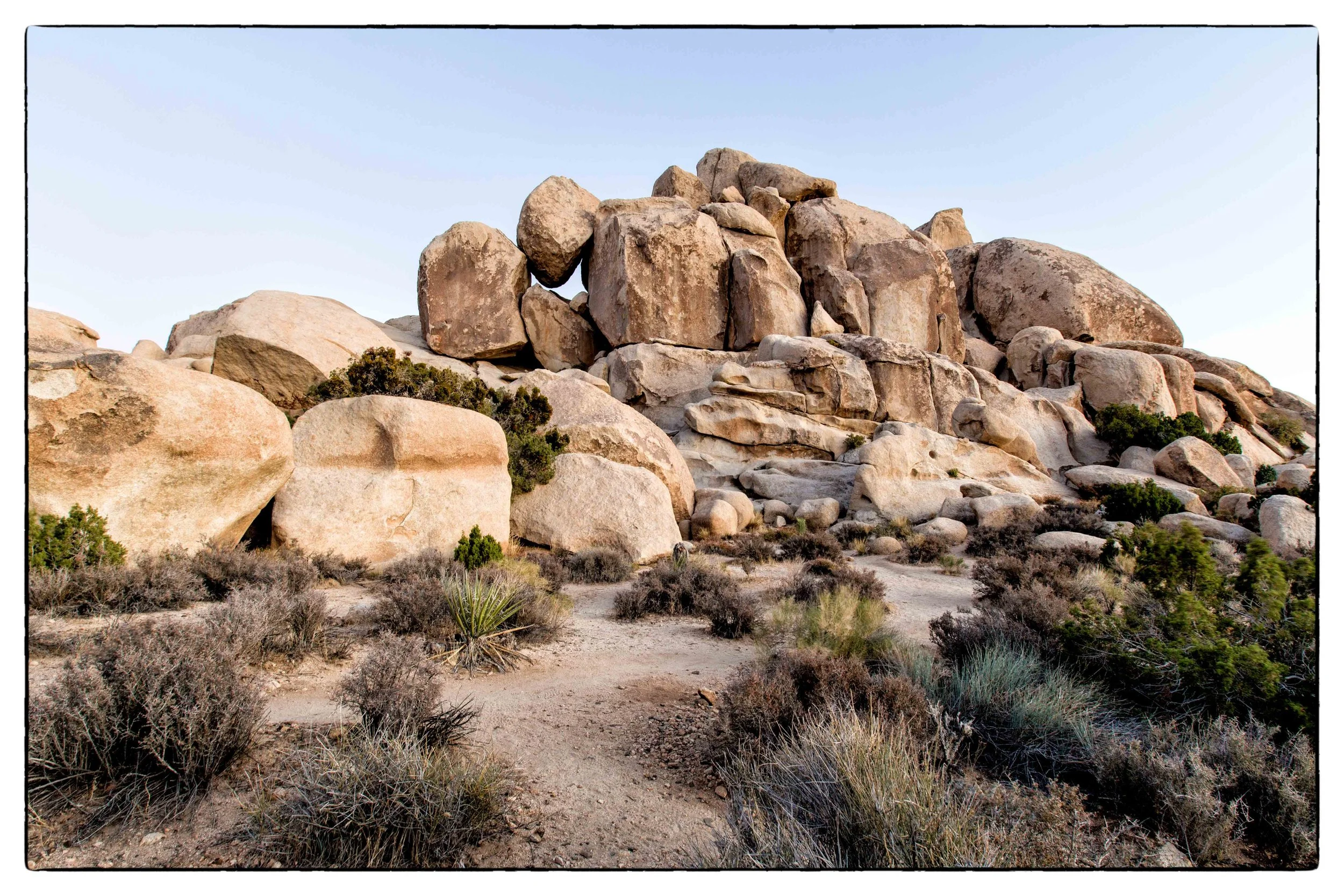 Palm Desert 2023-60.JPG