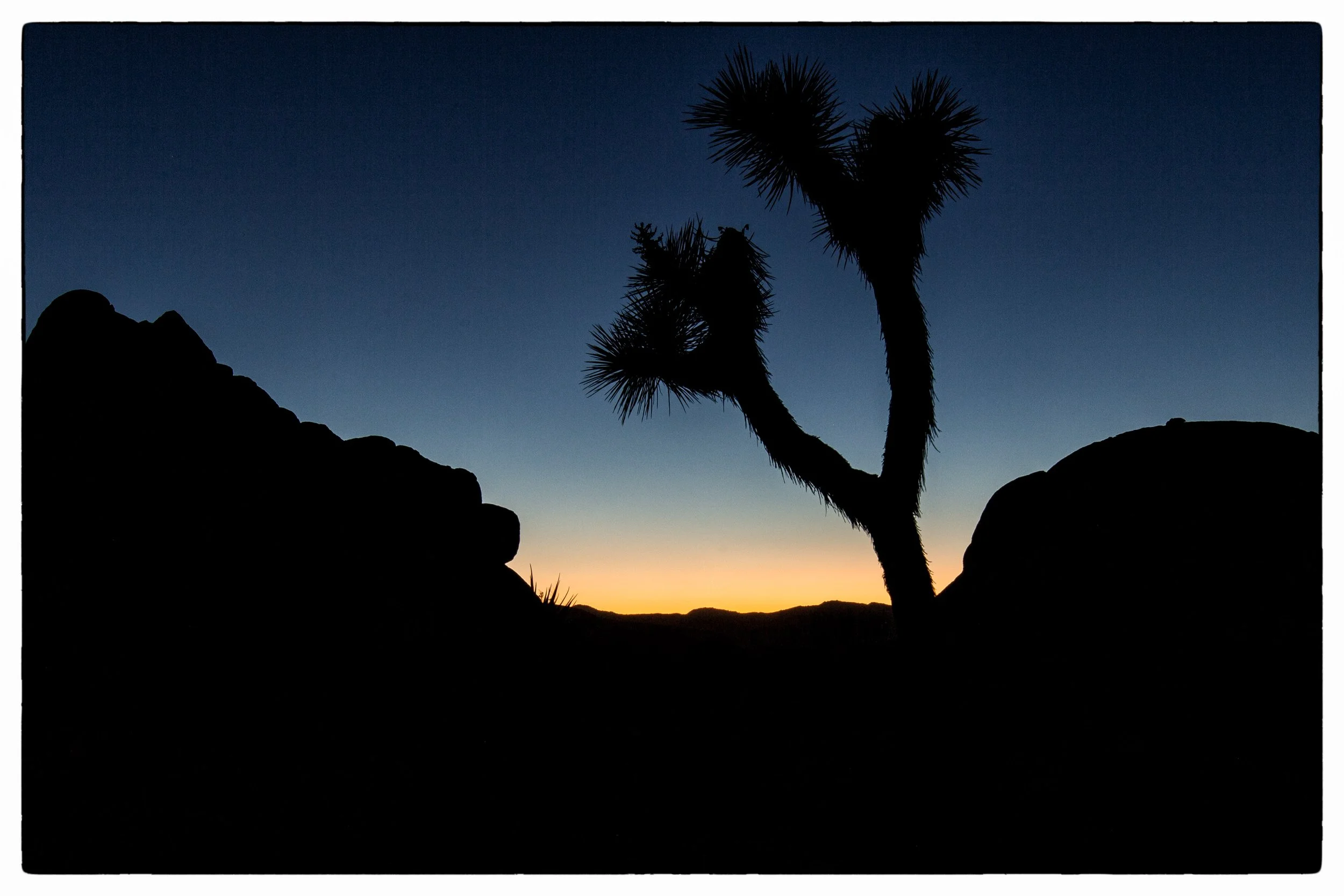 Palm Desert 2023-62.JPG