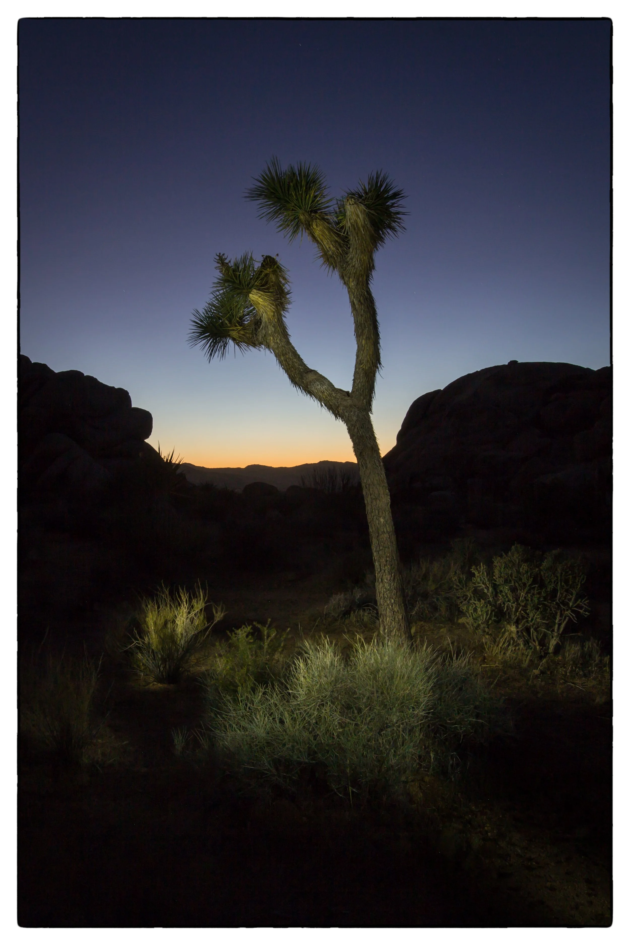 Palm Desert 2023-65.JPG