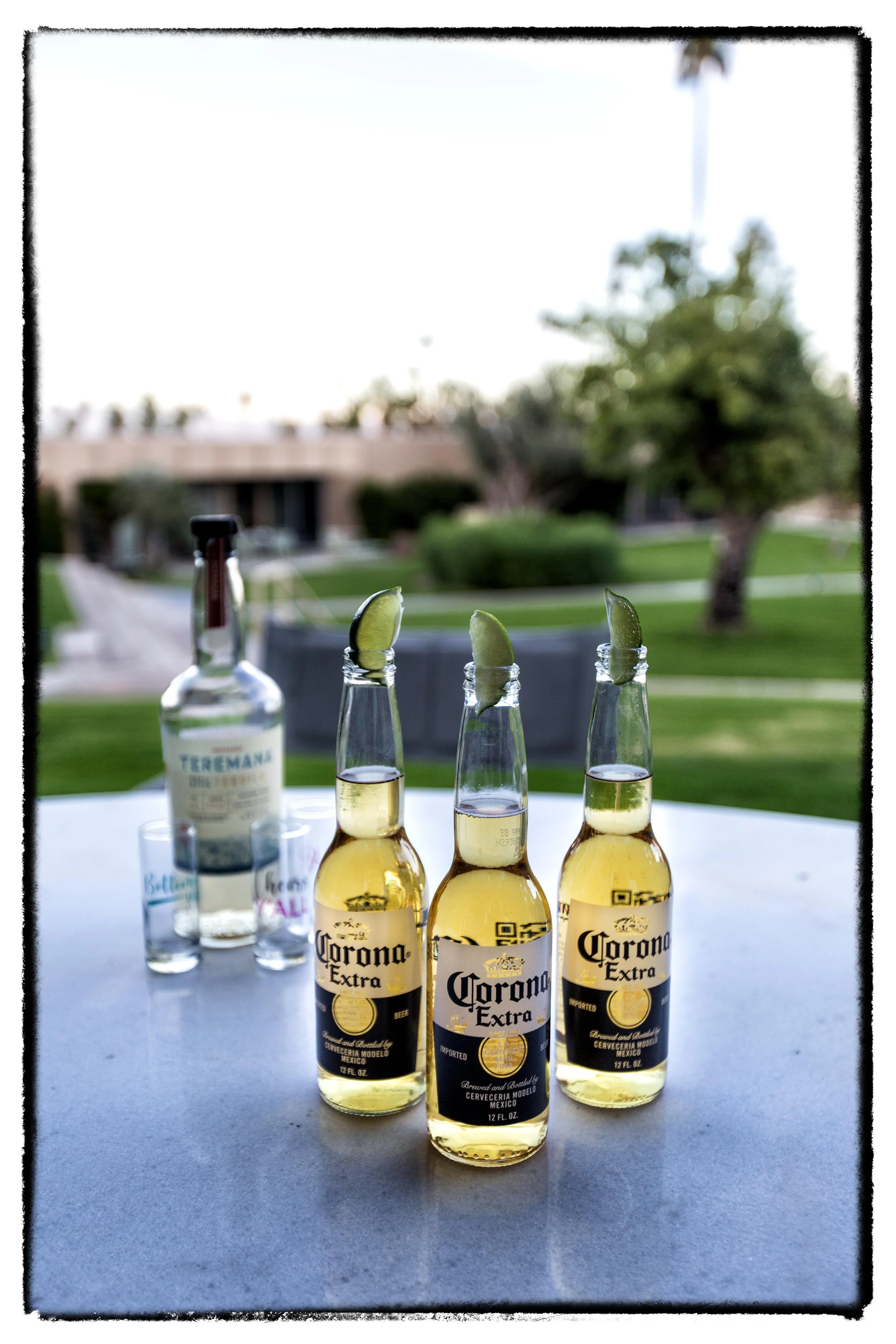 Palm Desert 2023-102.JPG