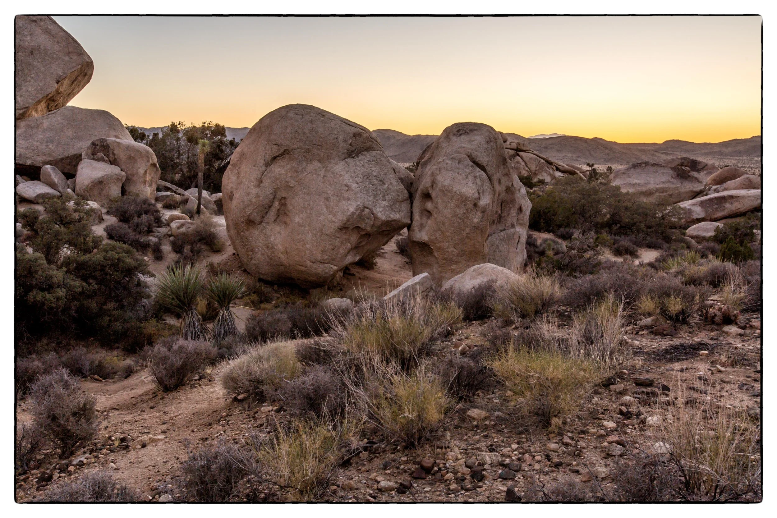 Palm Desert 2023-57.JPG