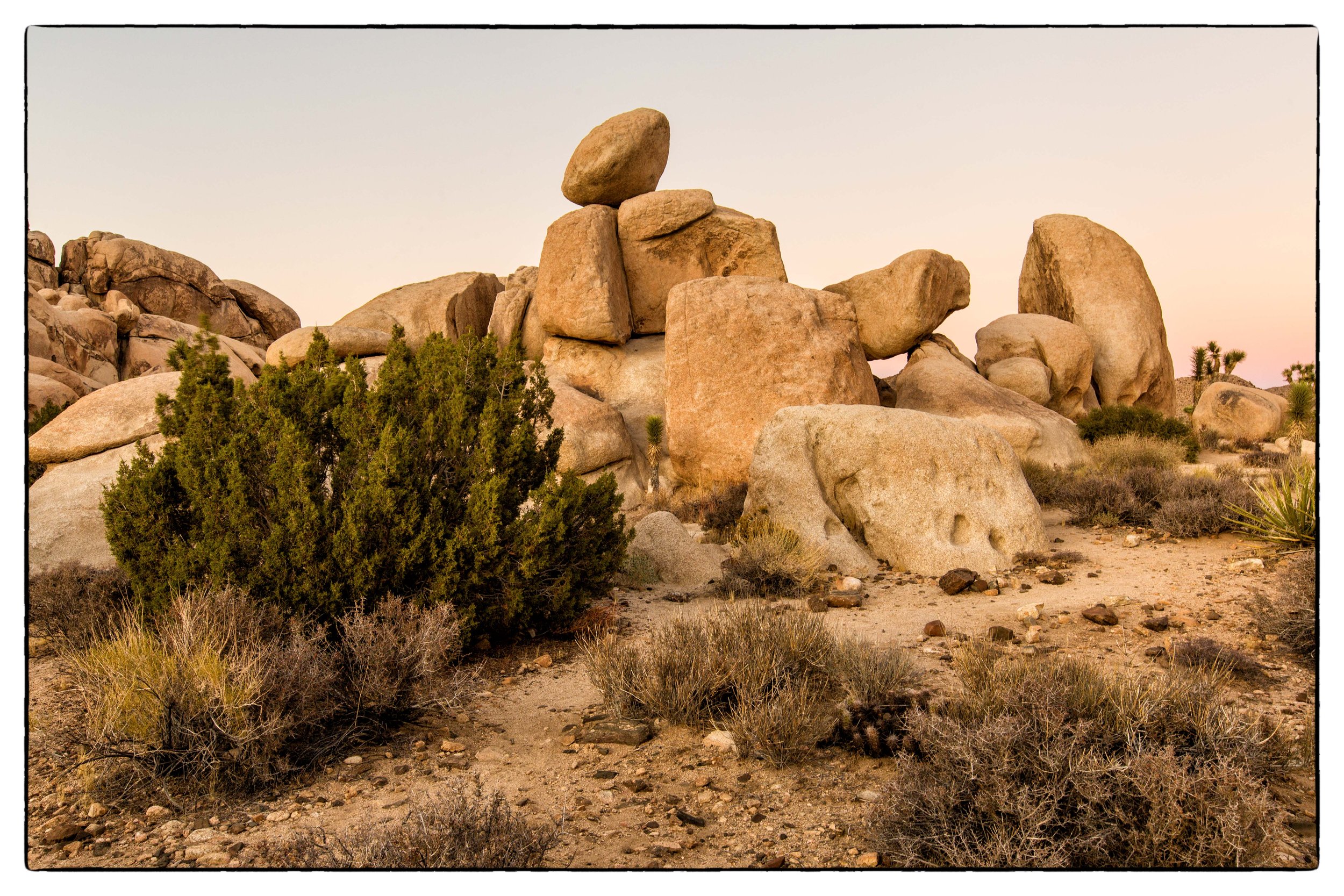 Palm Desert 2023-58.JPG