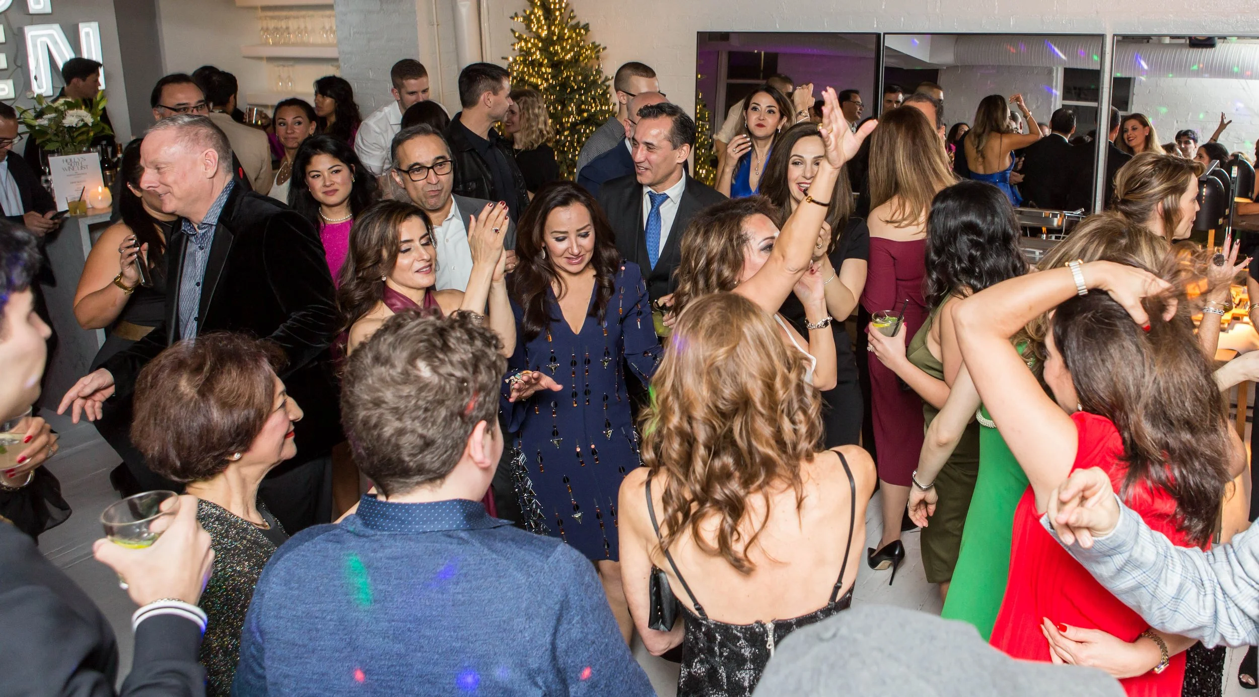 Haleh's 50th-165.JPG