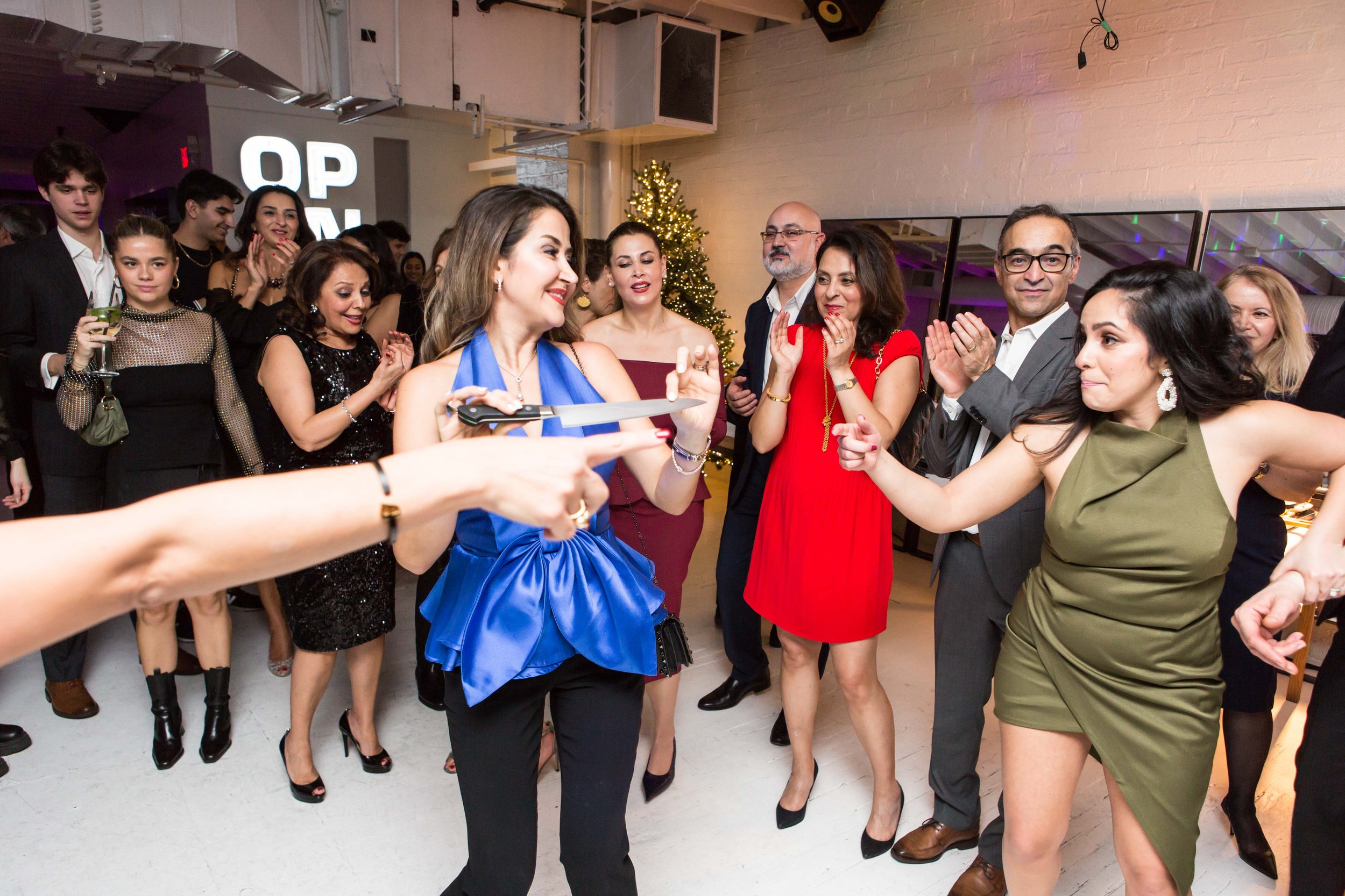 Haleh's 50th-288.JPG