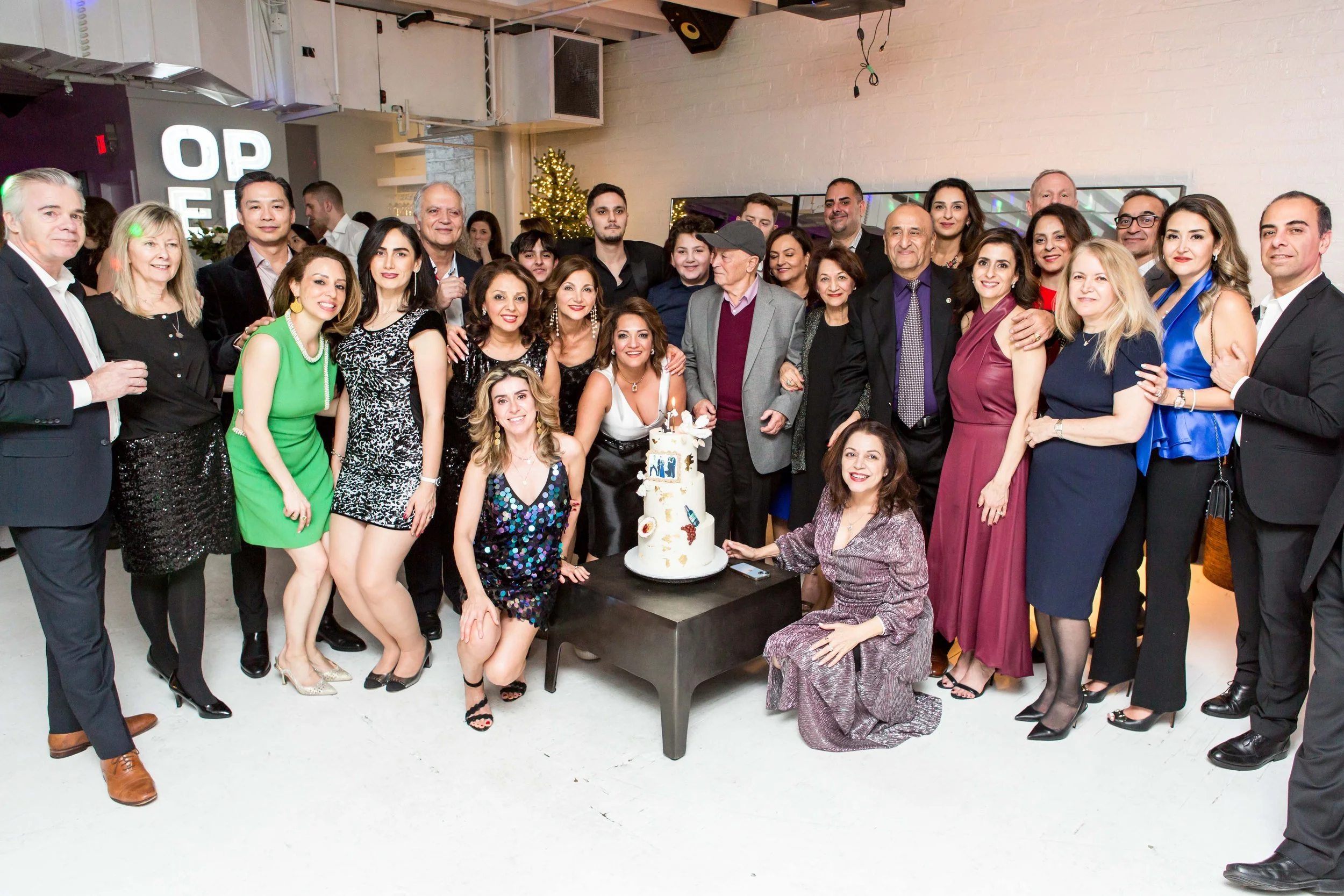 Haleh's 50th-312.JPG