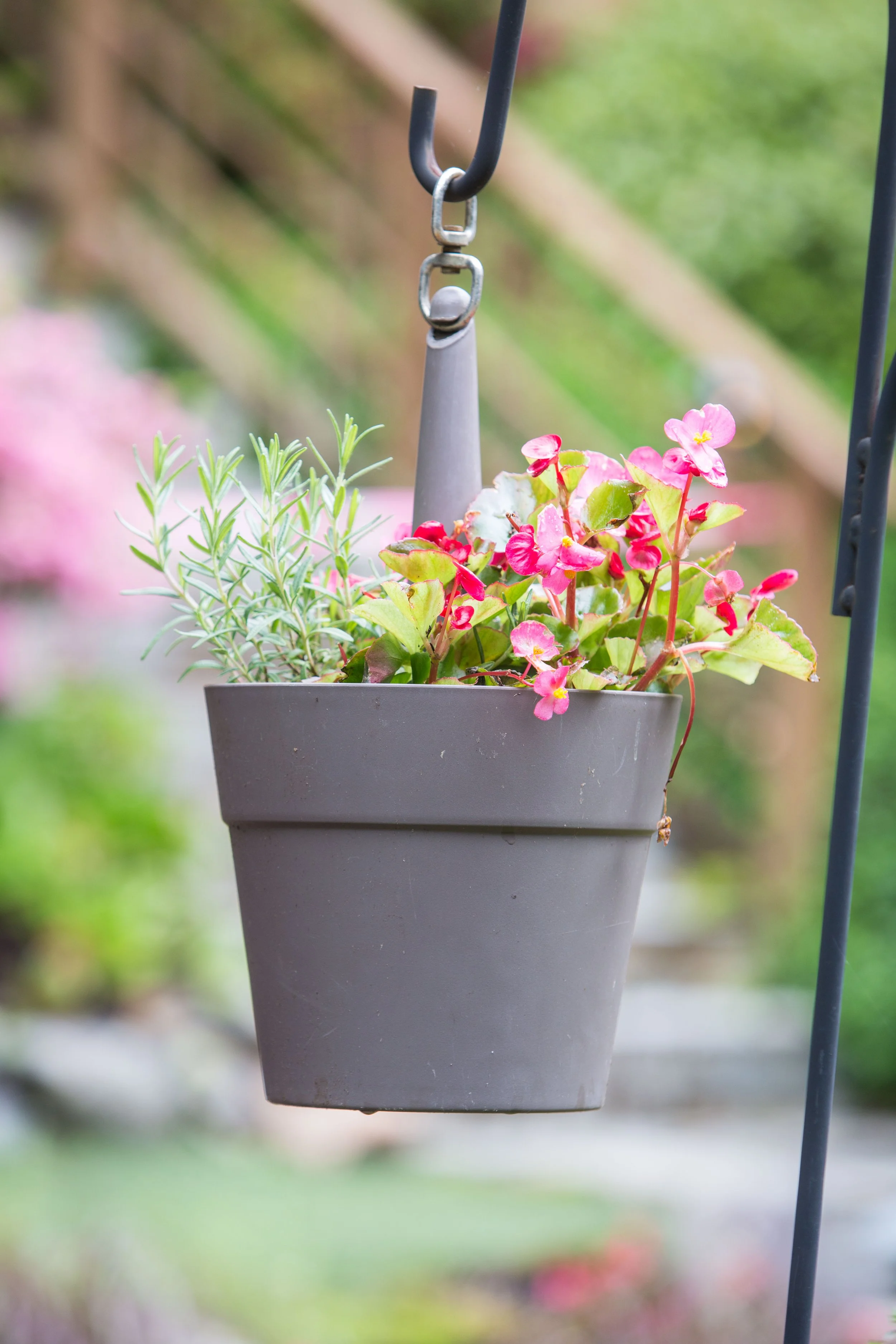 Arts in the Garden 2024-23.JPG