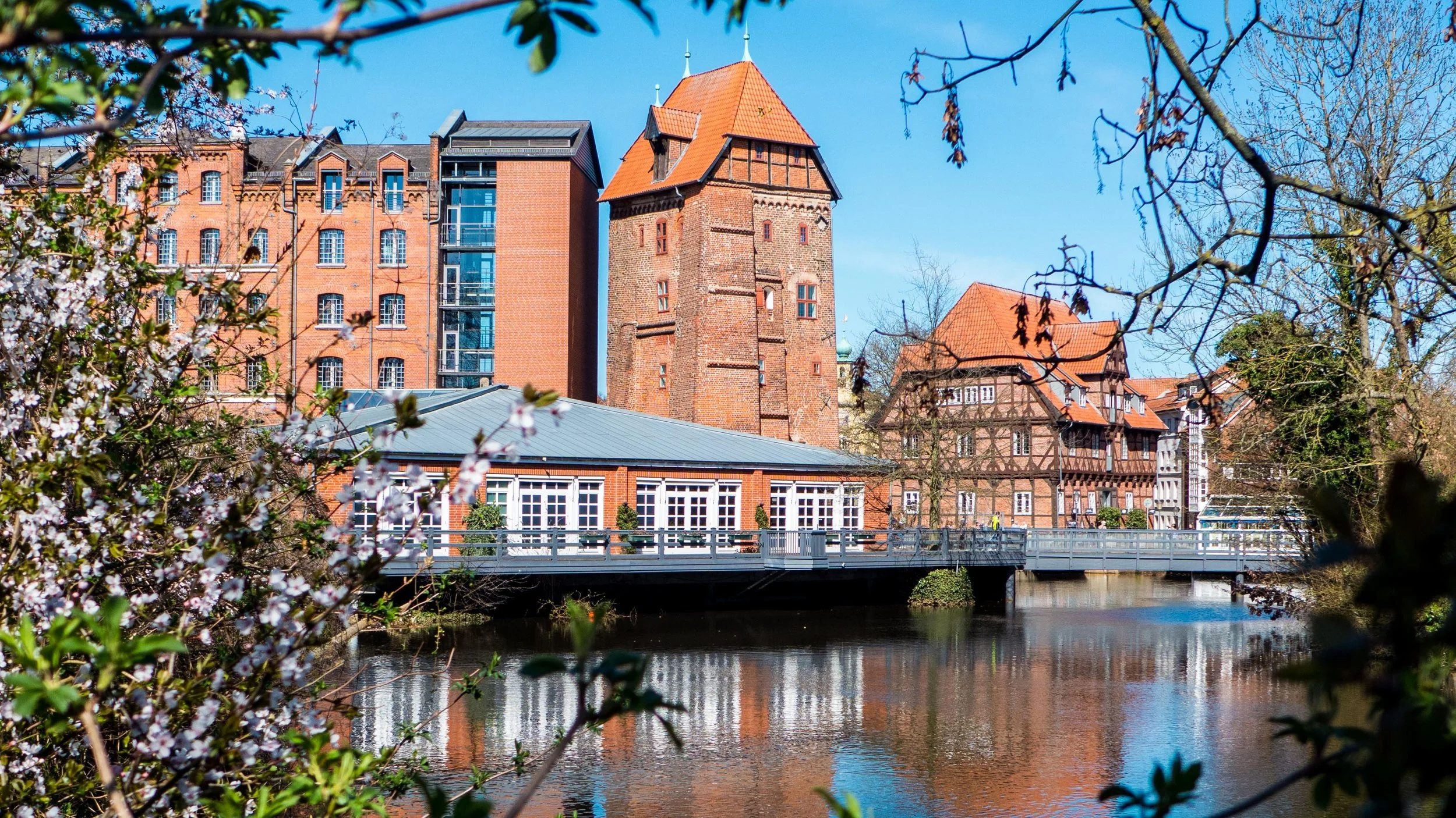 Lueneburg-4.jpg
