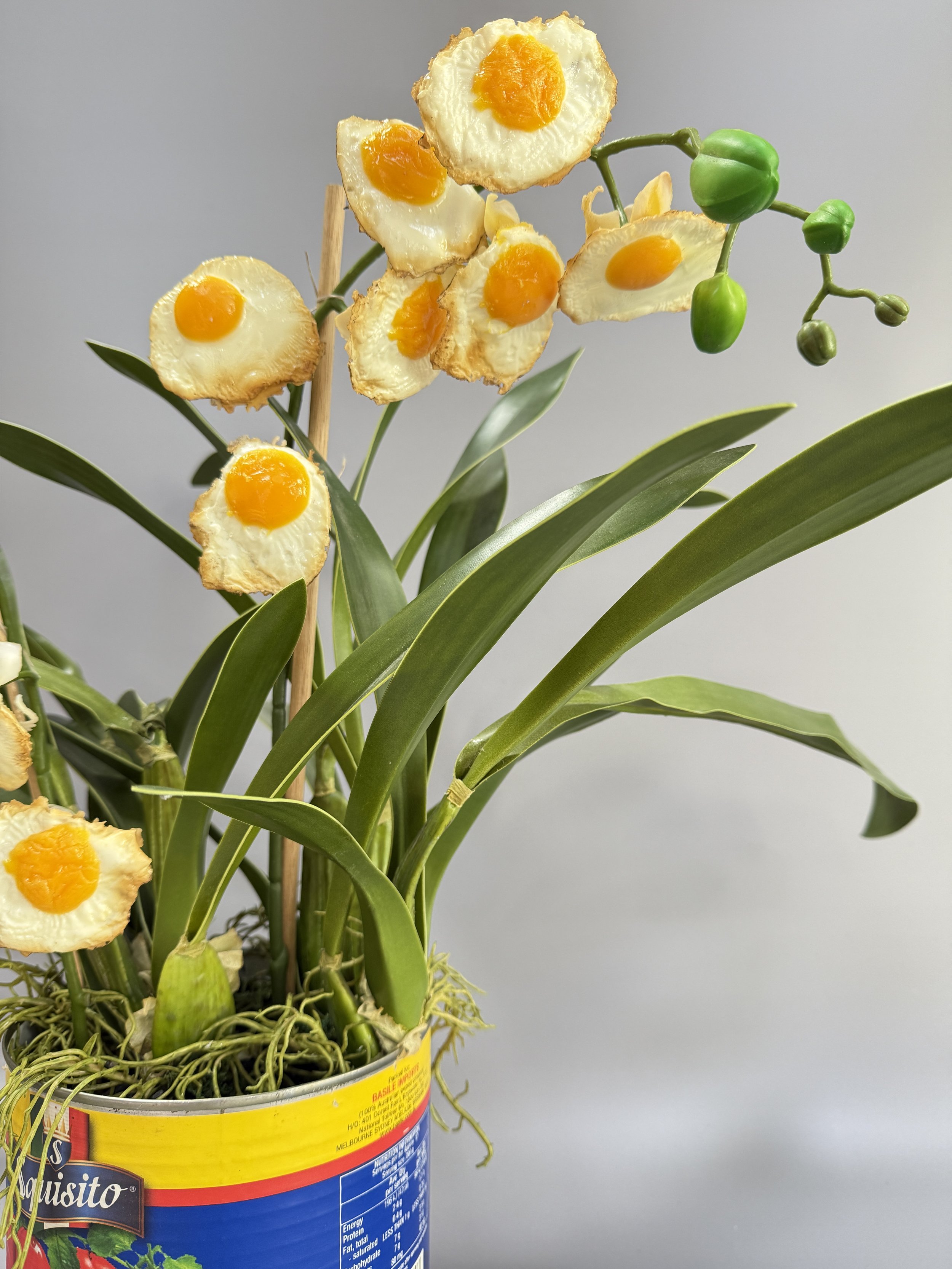 laetitia-olivier-gargano-egg-orchid-4-8.JPG
