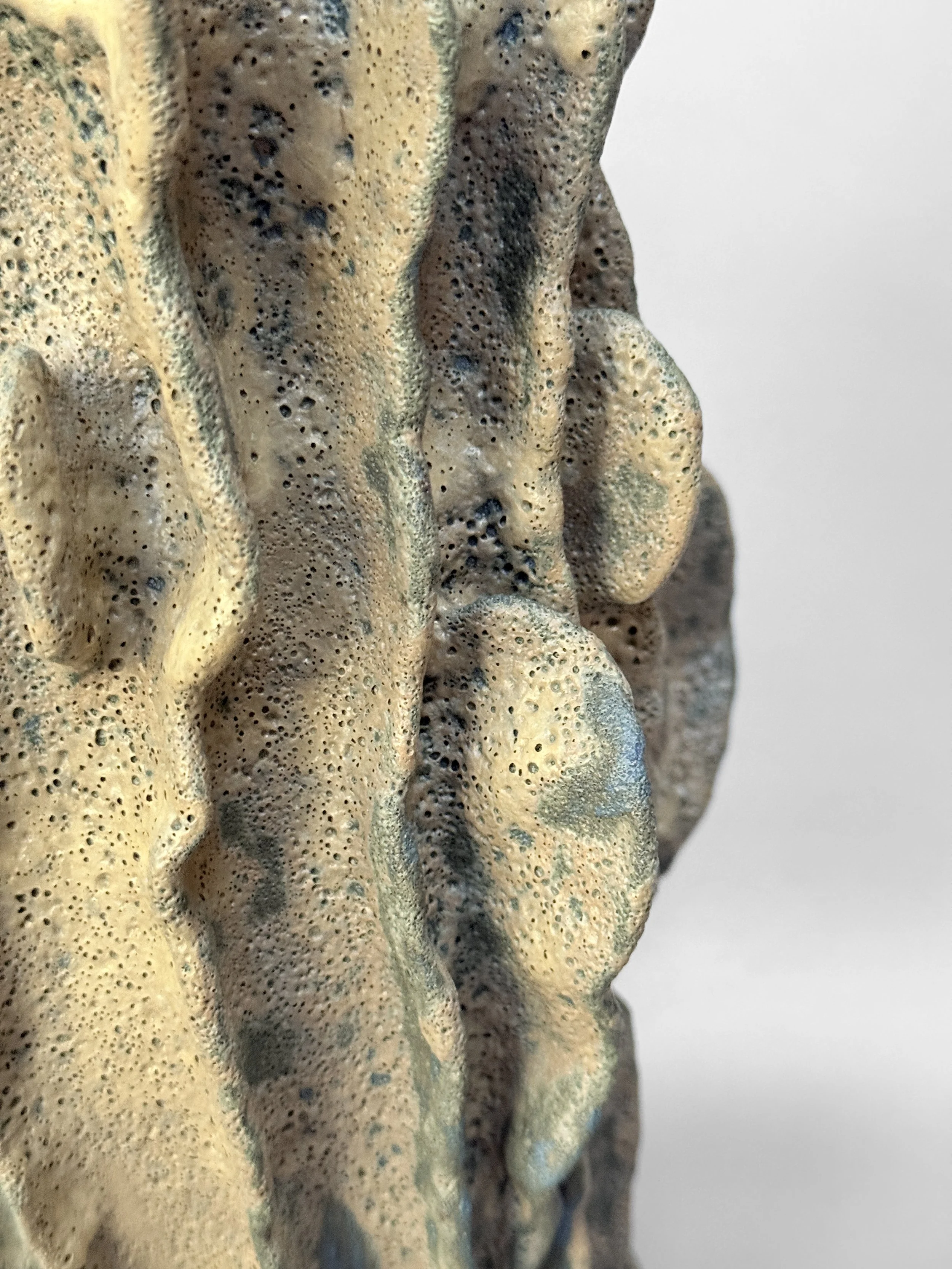 lotte-schwerdtfeger-coral-ridge-vase-vi-2.JPG