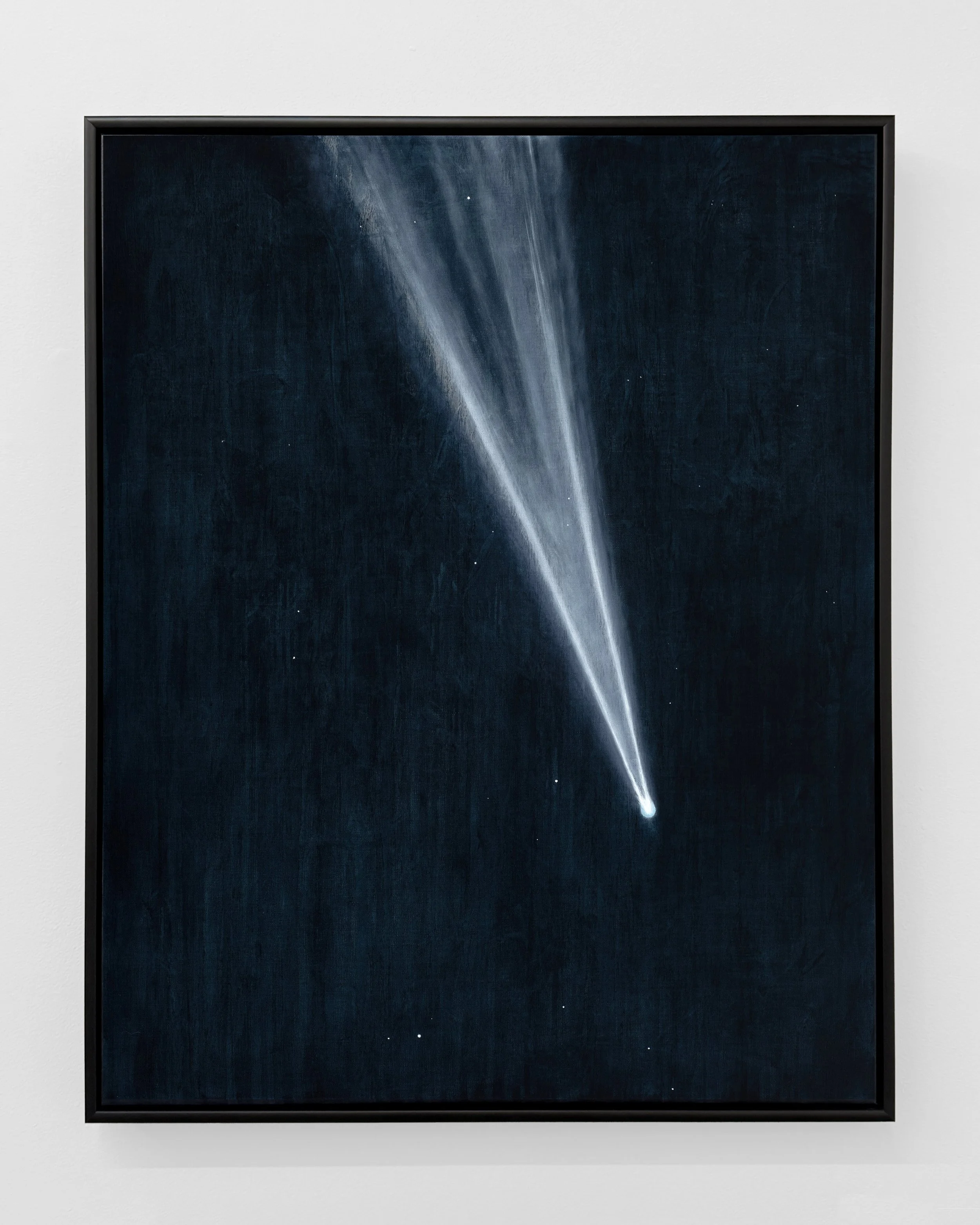 Comet C/2012 S1 ISON