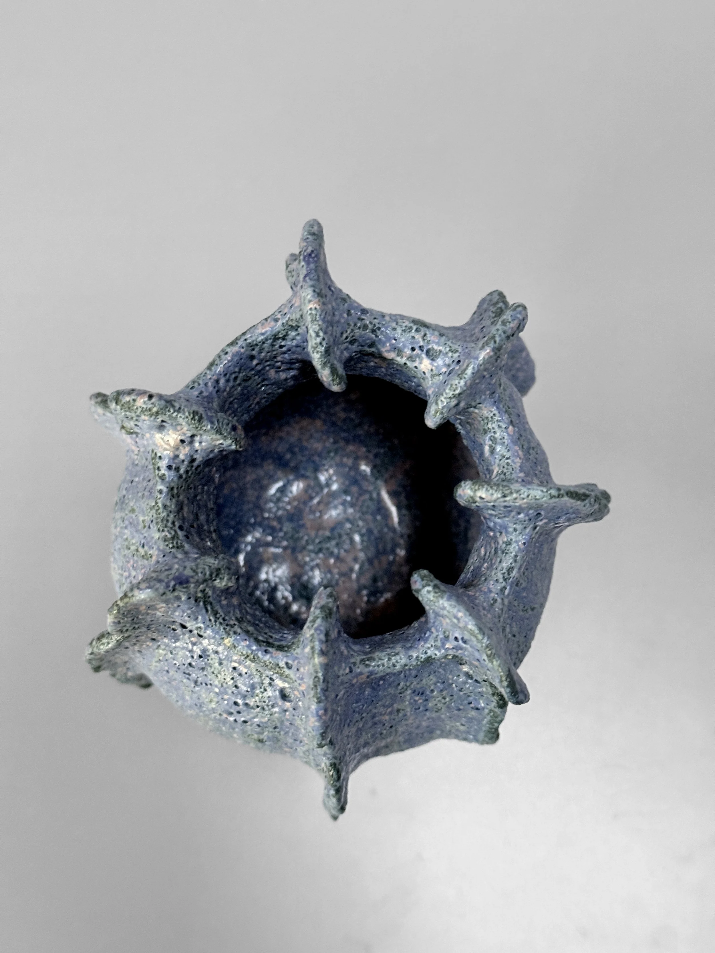 lotte-schwerdtfeger-coral-ridge-vase-i-3.JPG