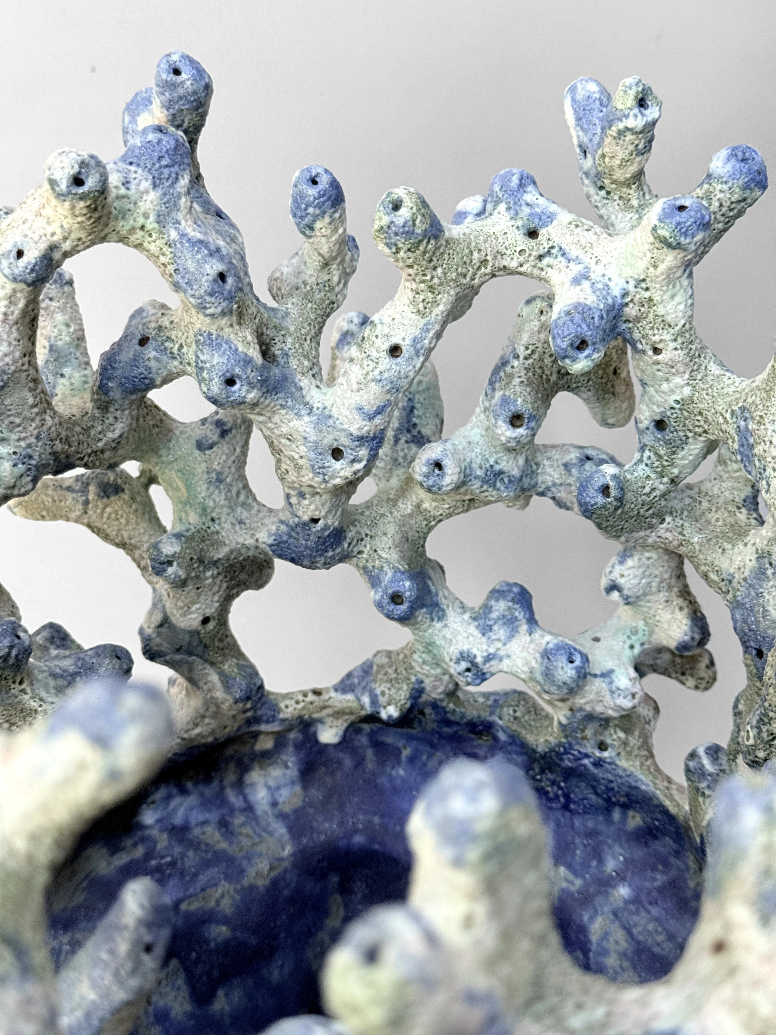 lotte-schwerdtfeger-coral-vessel-5.JPG