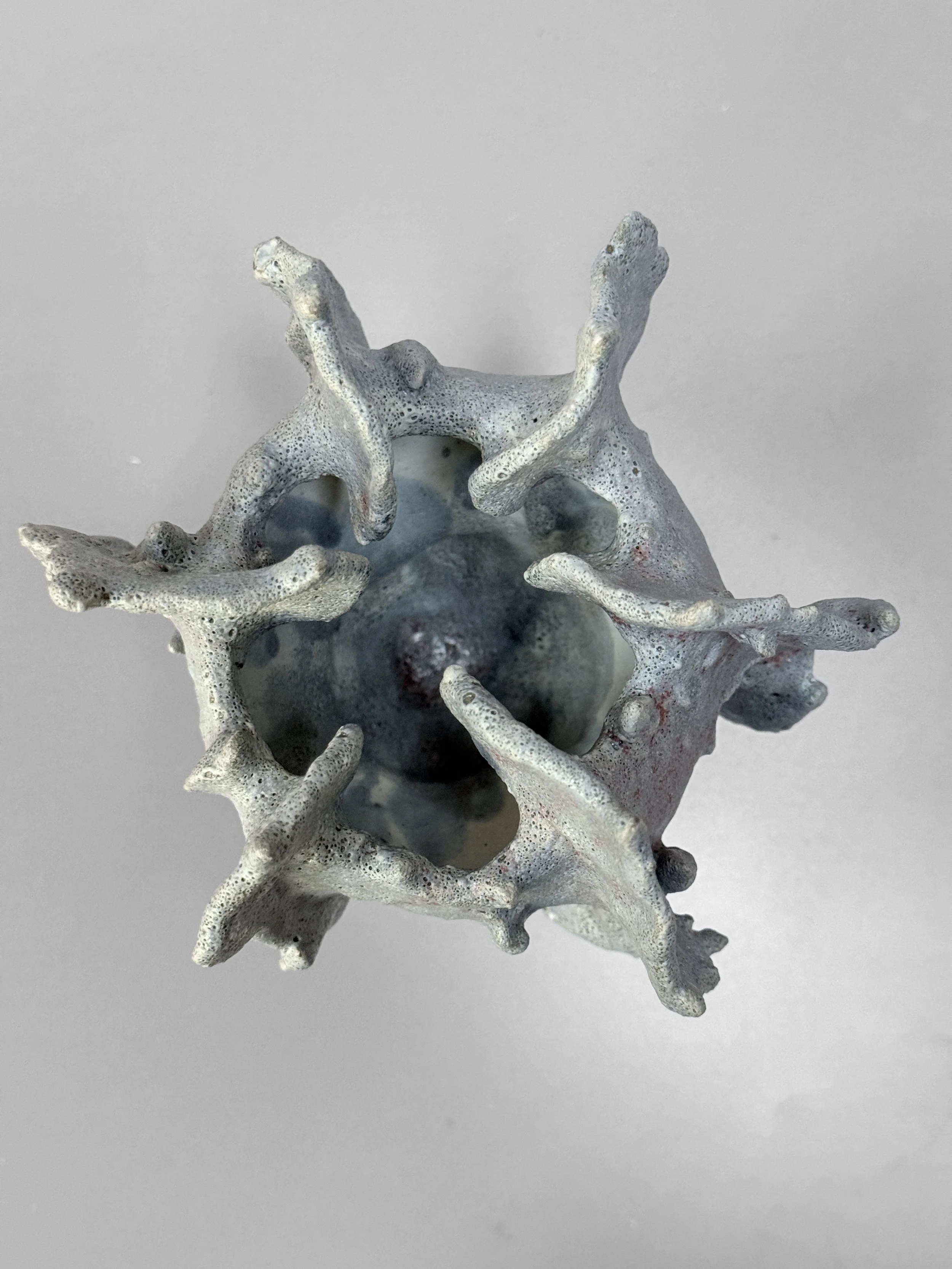 lotte-schwerdtfeger-coral-ridge-vase-viii-4.JPG
