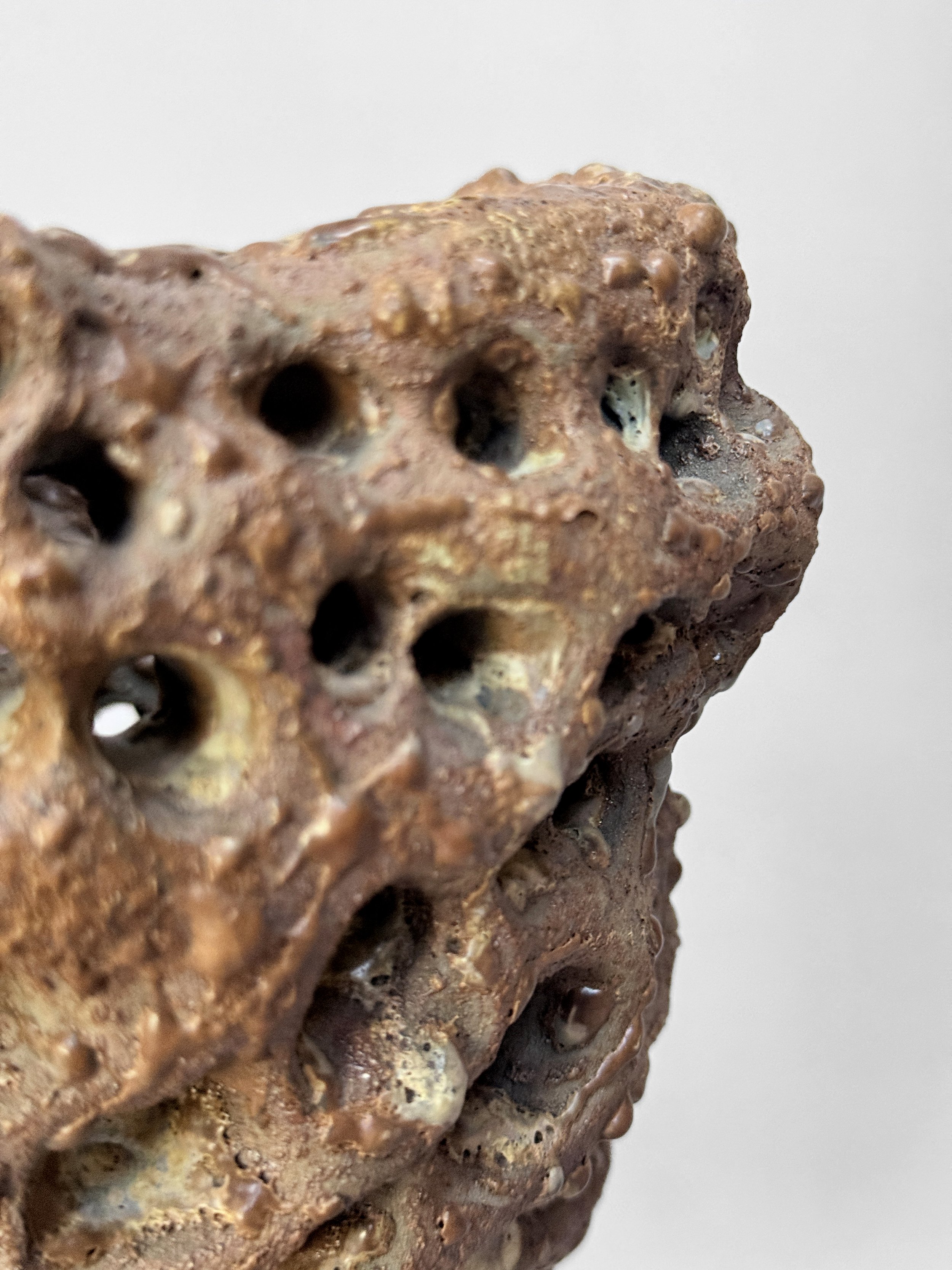 lotte-schwerdtfeger-fossilised-sponge-vessel-5.JPG