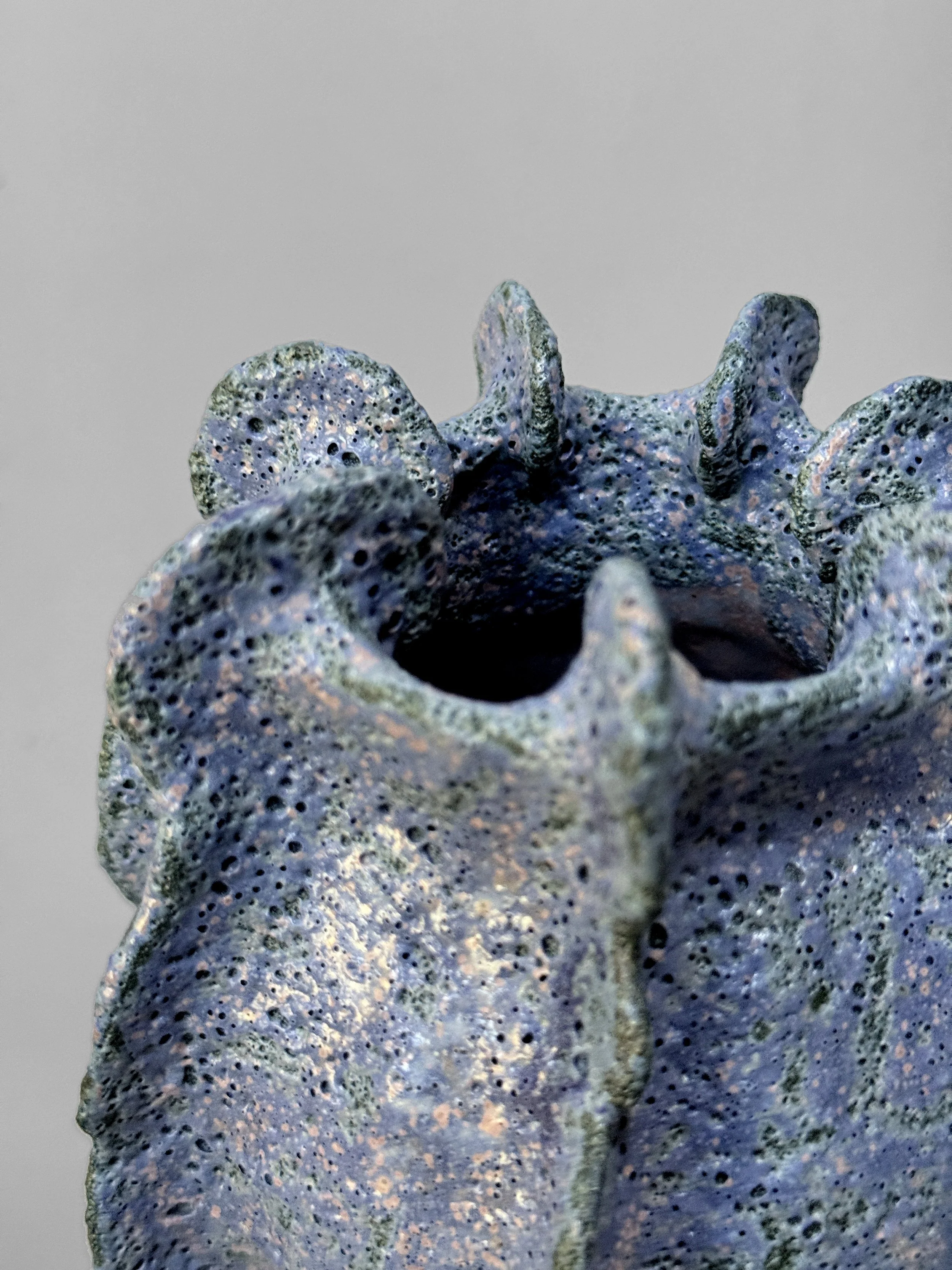 lotte-schwerdtfeger-coral-ridge-vase-i-2.JPG