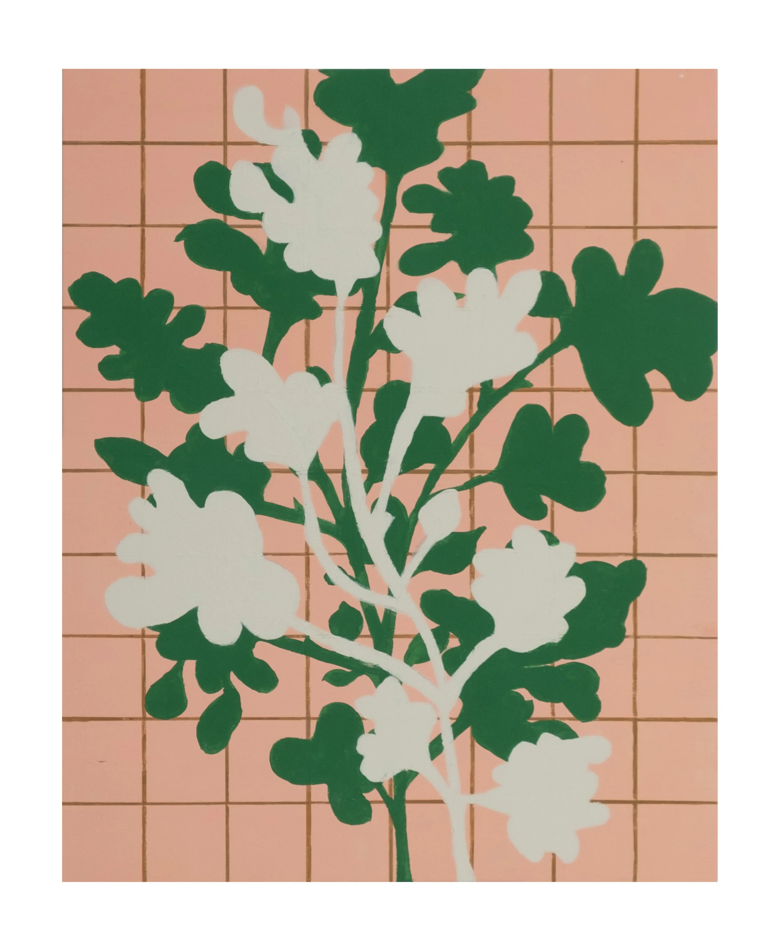 rhett-d-costa-hybrid-foliage-gold-grid-green-2.jpg