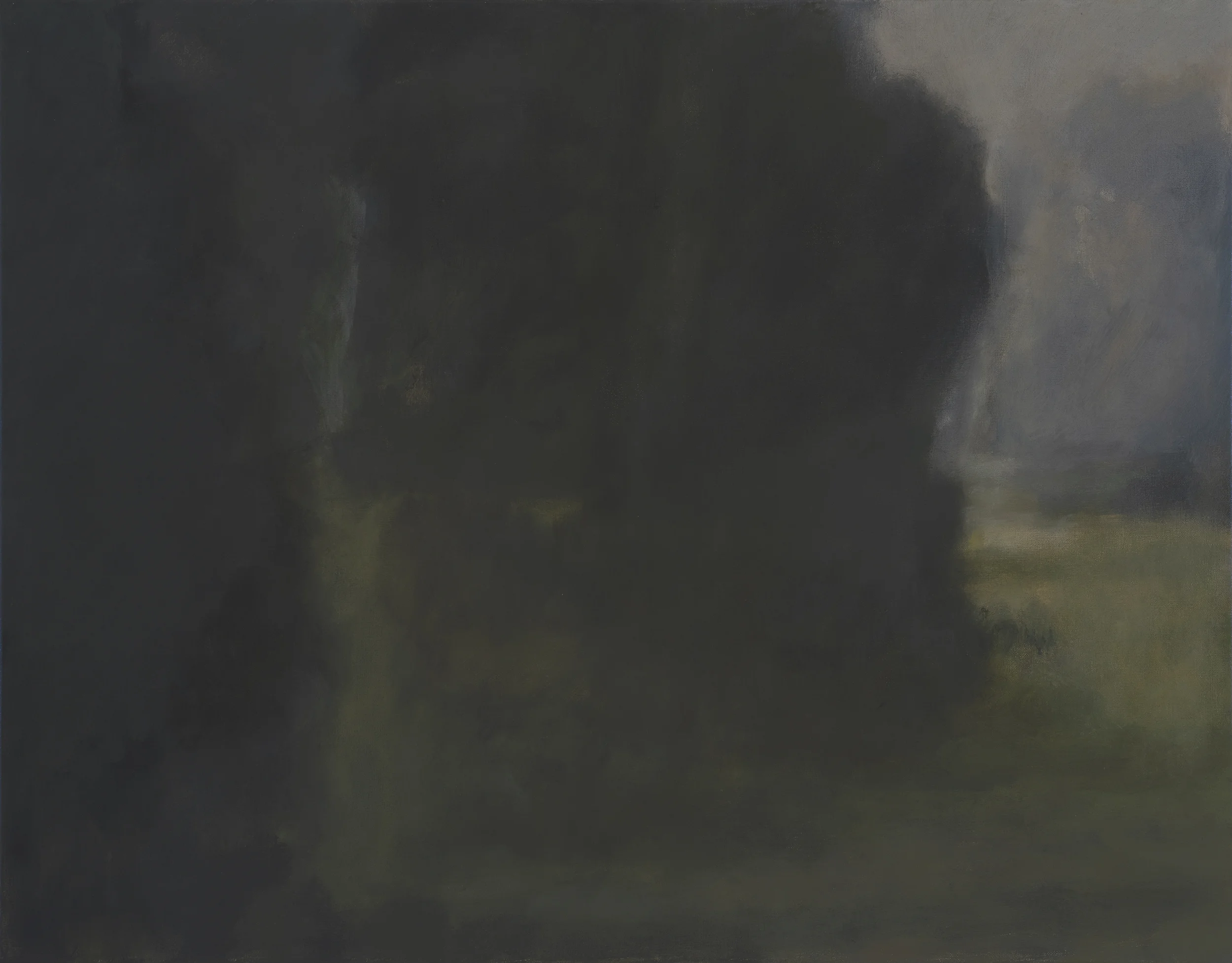 Misty Morning Exhibition