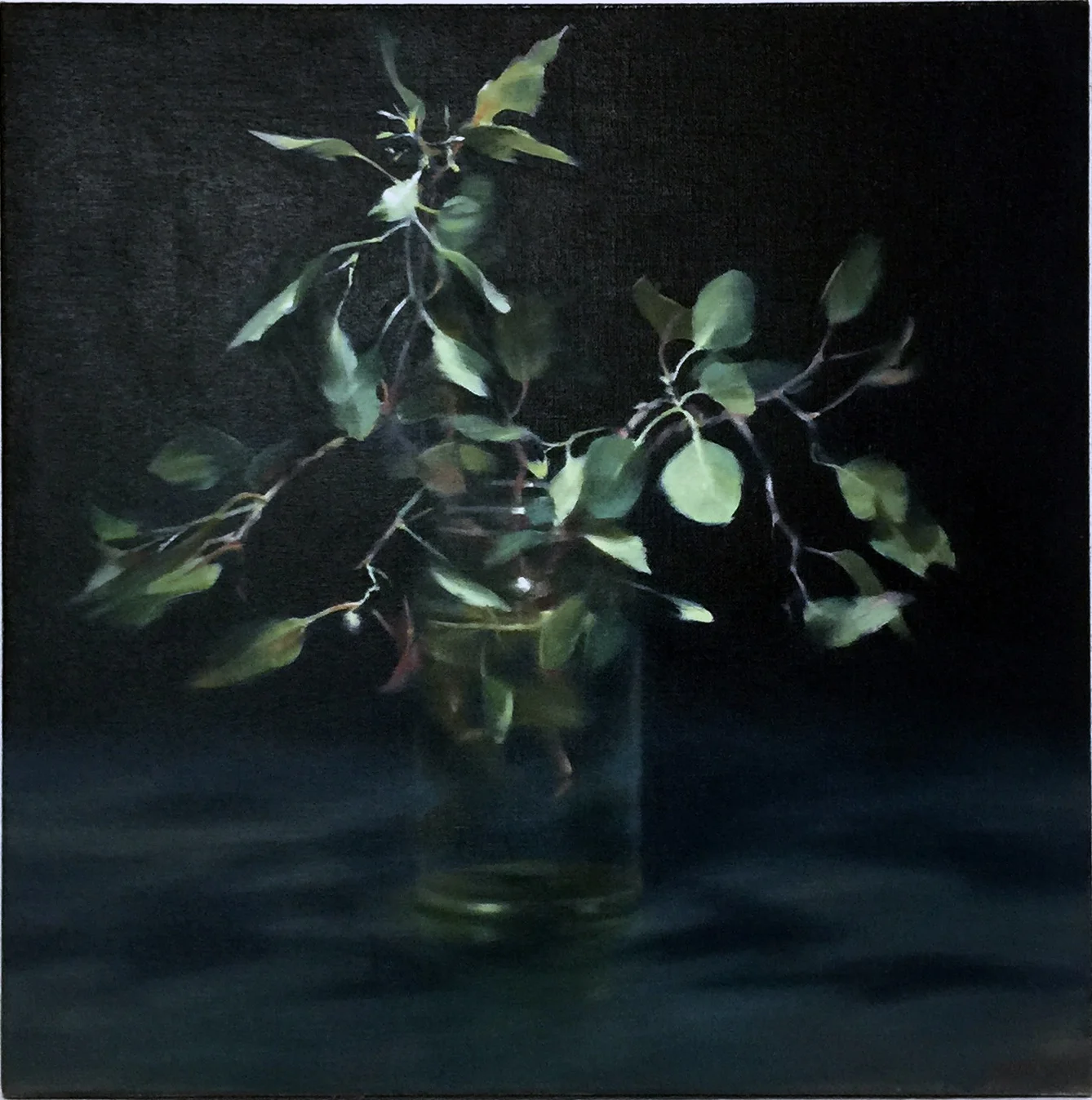 HILARY JACKMAN Leaves in a Jar , 2019 oil on linen 62 x 62 cm