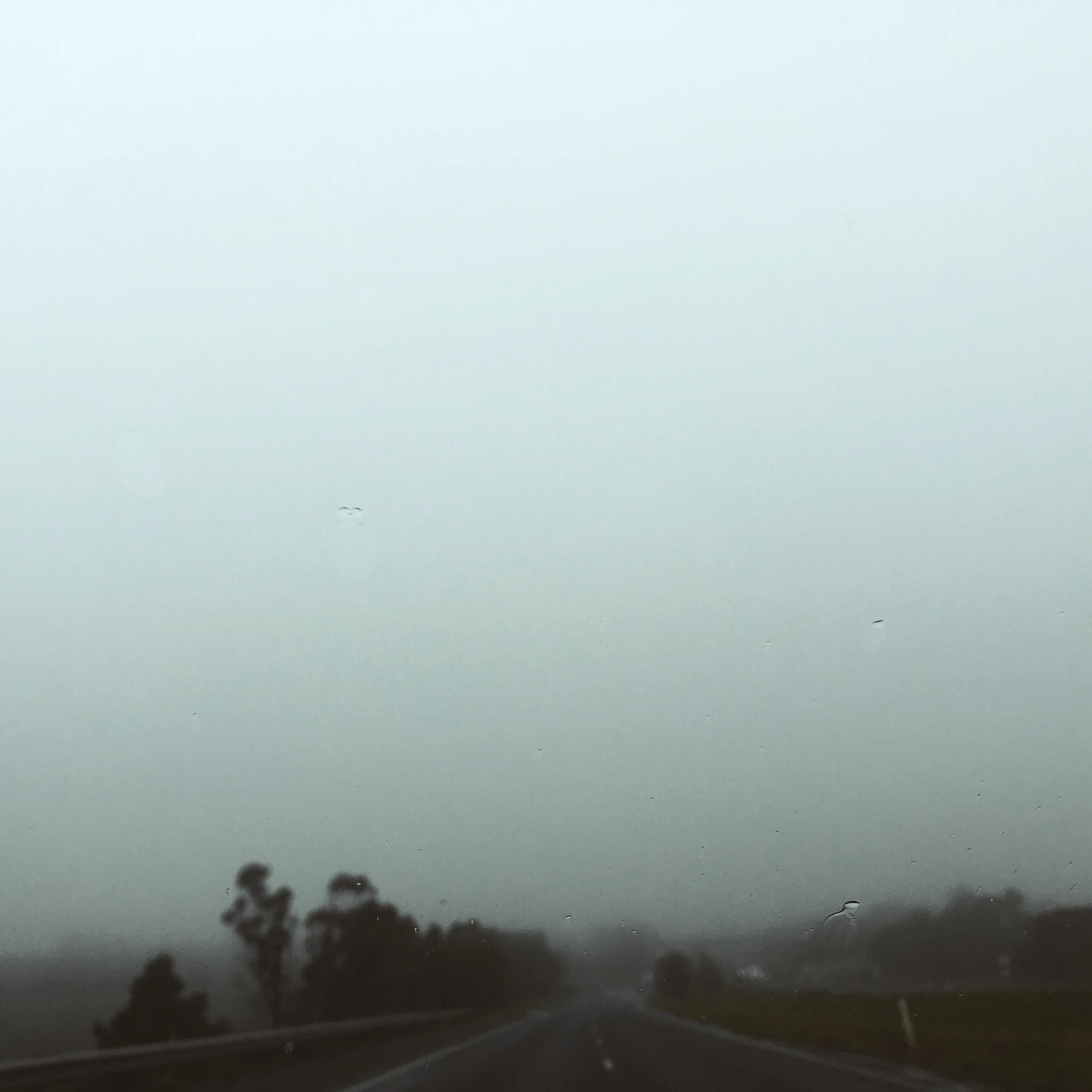 Landscape_Cusp_PiaJohnson_1498.jpg
