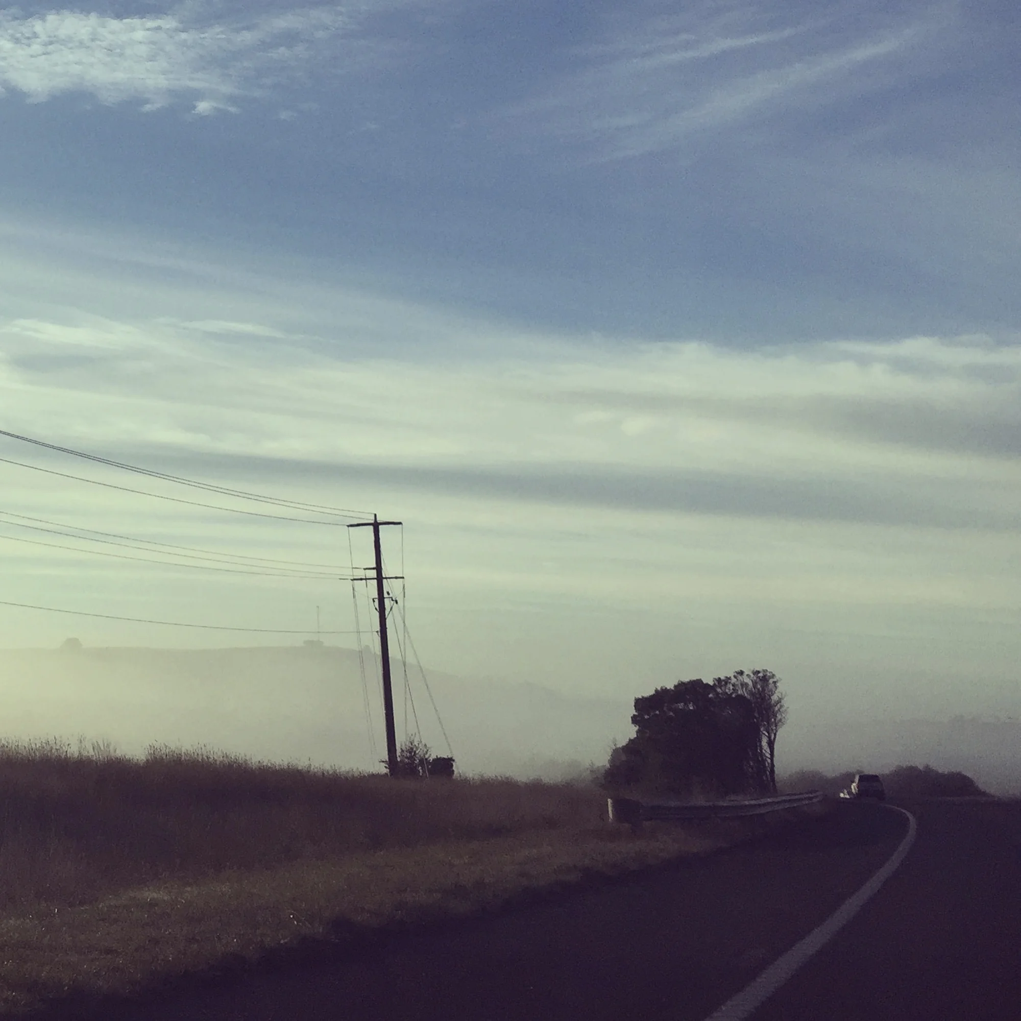 Landscape_Cusp_PiaJohnson_5799.jpg
