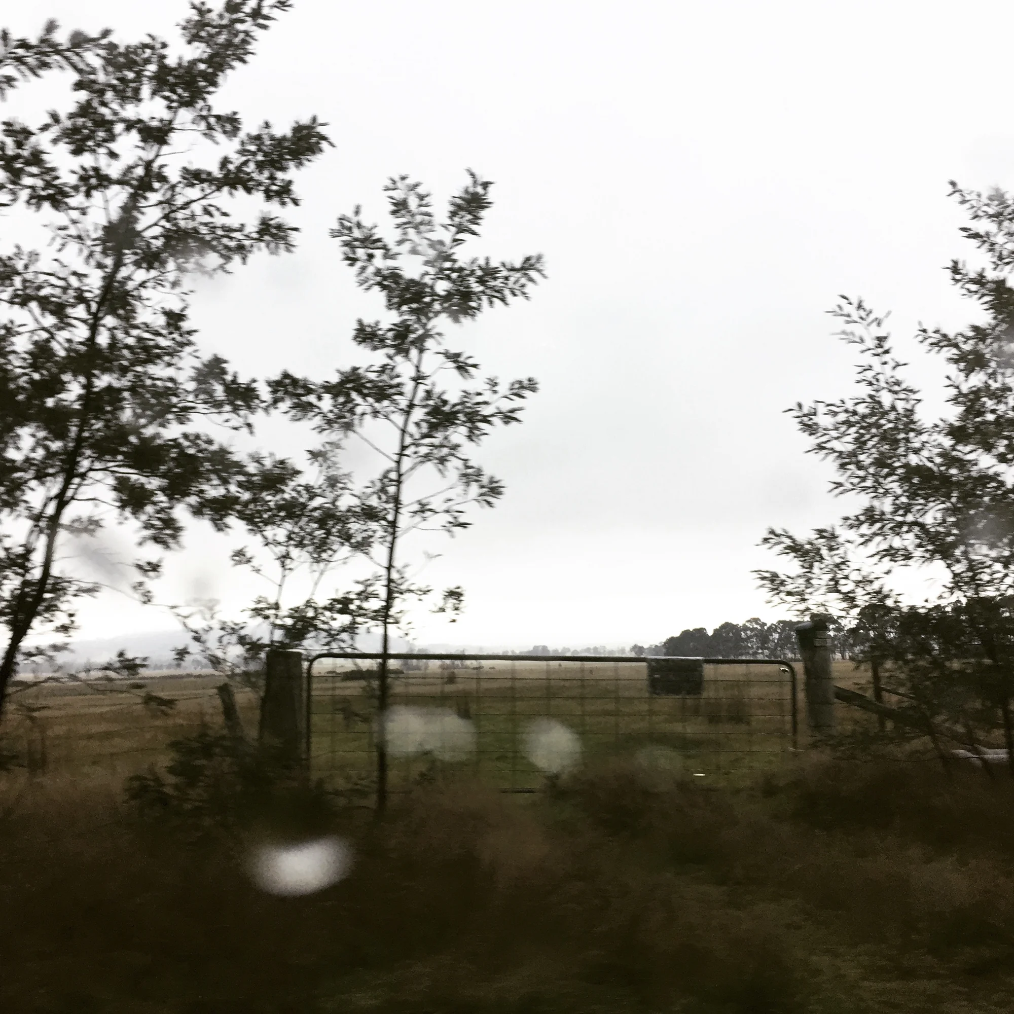 Landscape_Cusp_PiaJohnson_8362.jpg