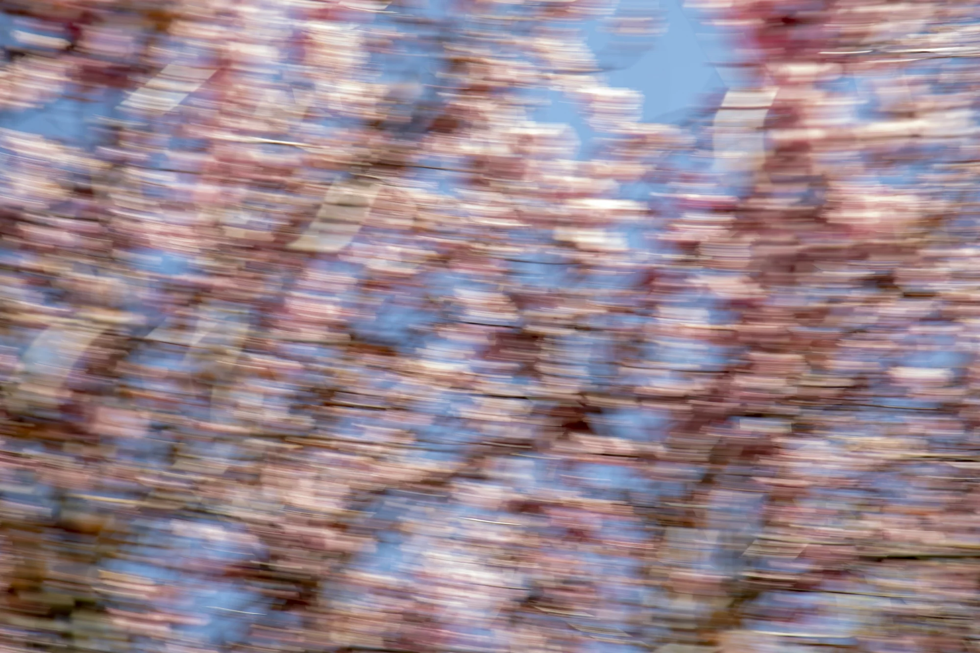 Landscape_Cusp_PiaJohnson_9791.jpg