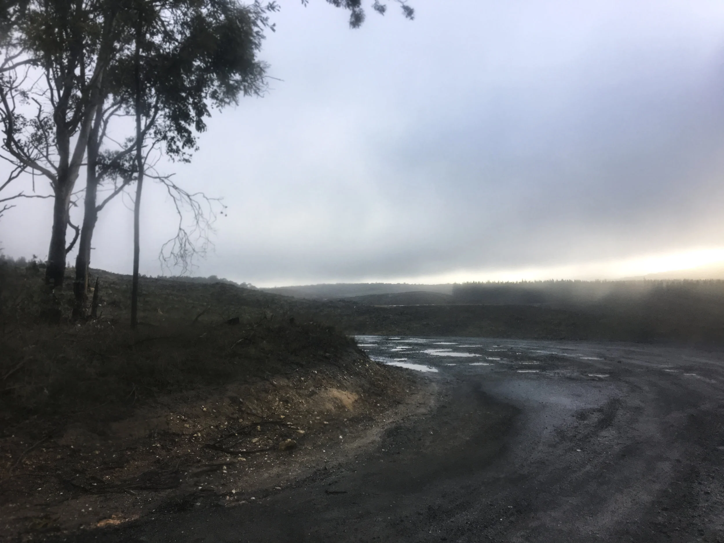 PiaJohnson_Cusp_Landscape_6182.jpg