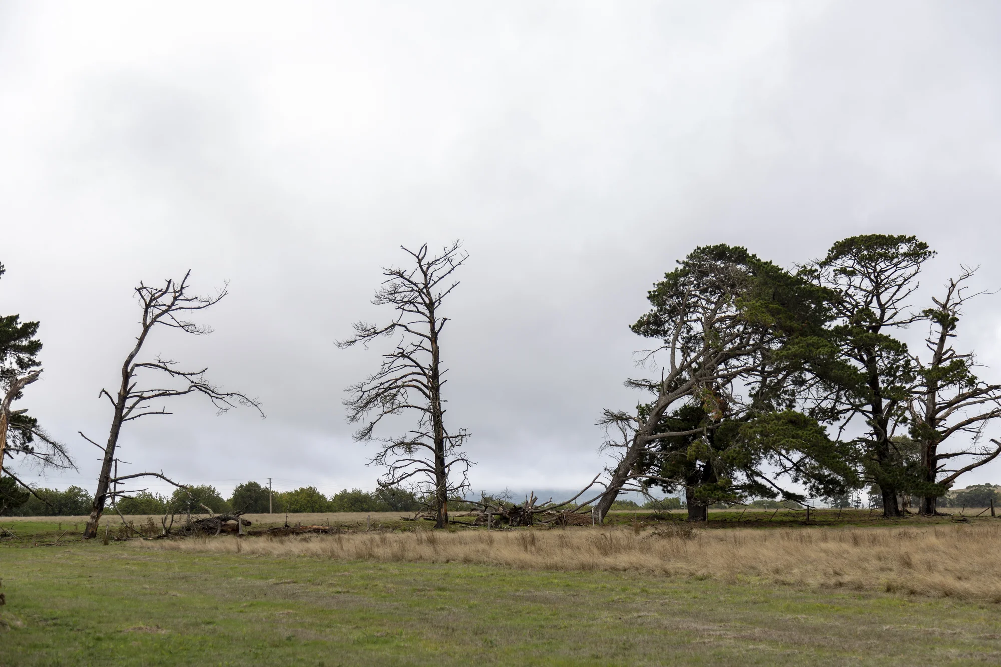 Landscape 6712 , 2018 archival pigment print 81 x 54 cm