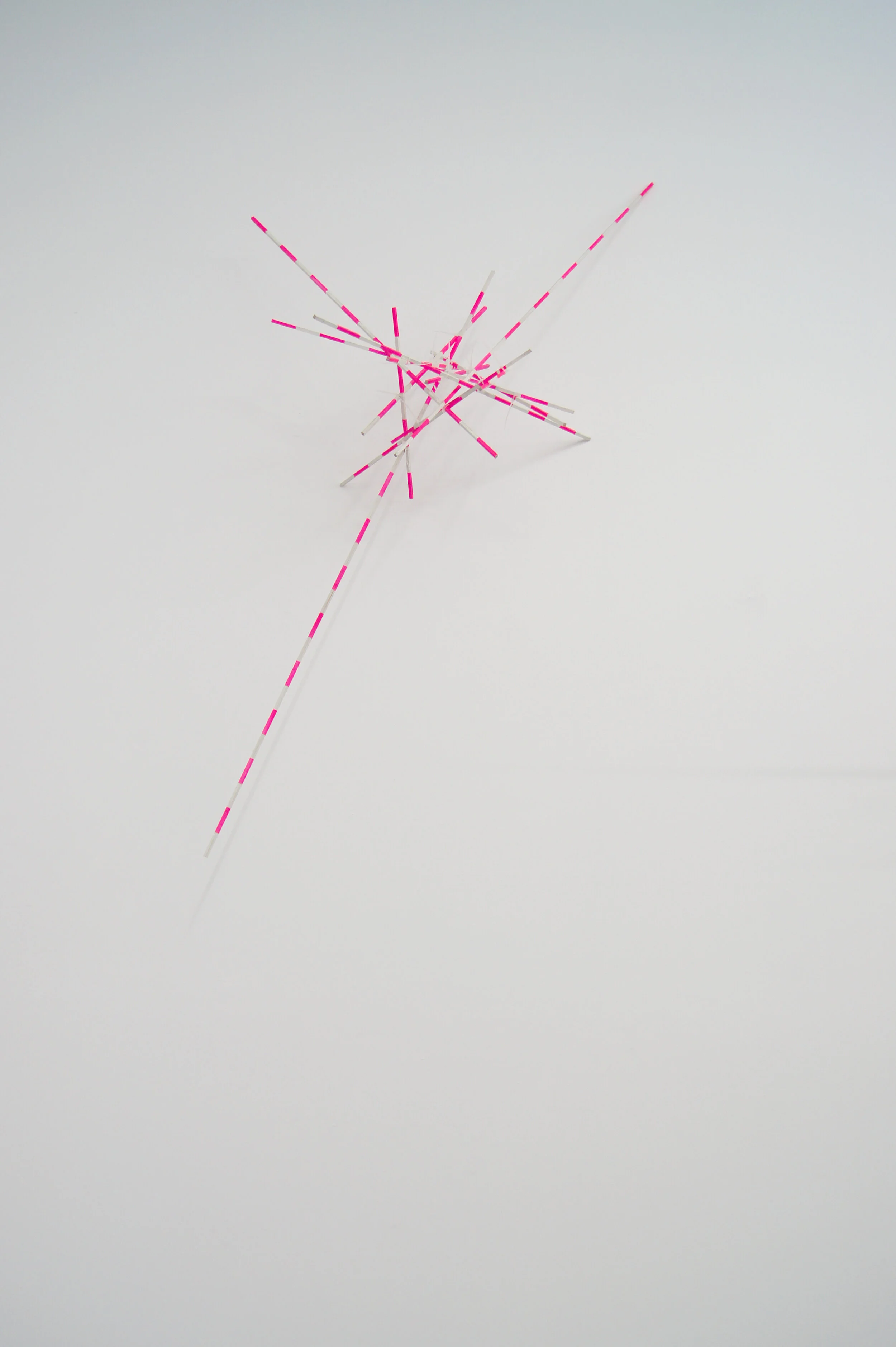   Poles maquette (6mm),  2016 oak, cable ties, spray paint 80 x1 20 x 60cm 