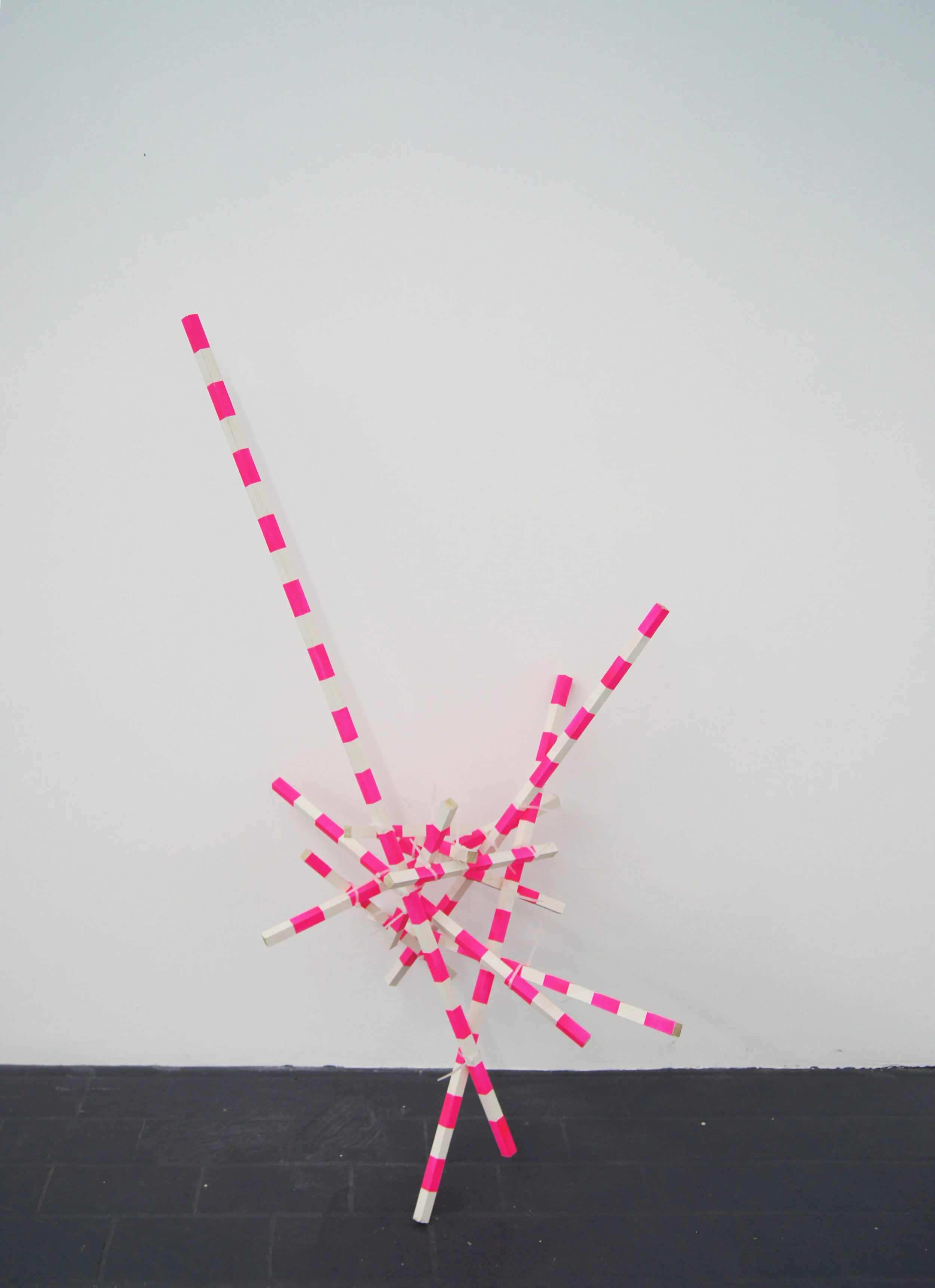   Poles maquette (18mm) , 2016 oak, cable ties, spray paint 80 x 120 x 60cm 