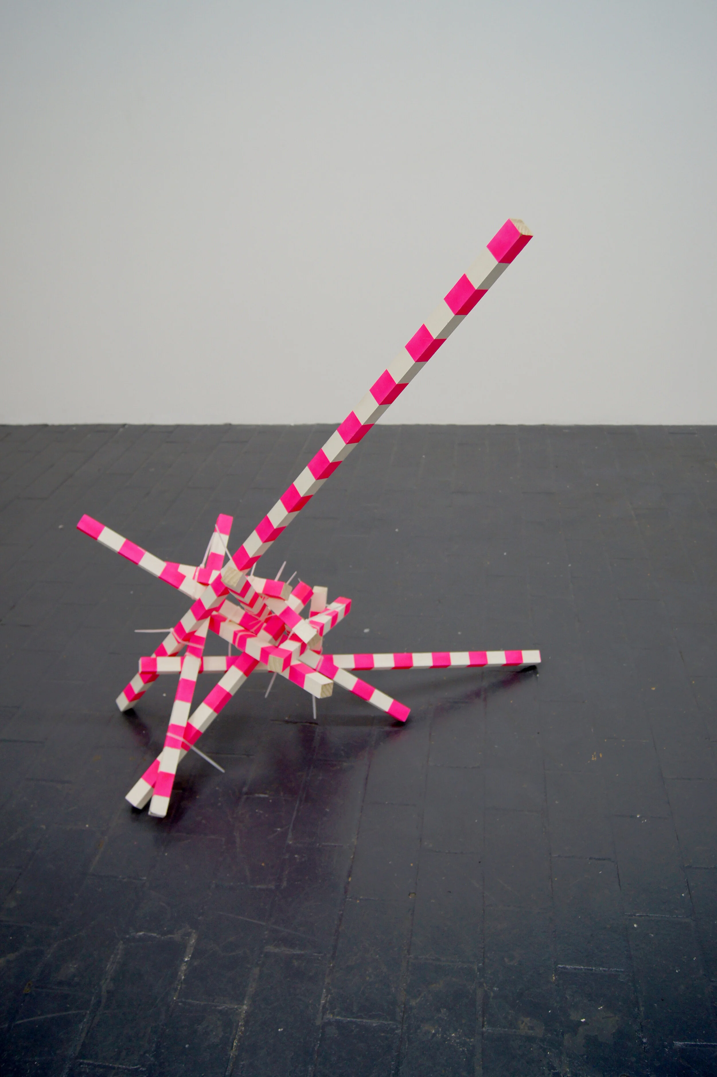   Poles maquette (30mm) , 2016 oak, cable ties, spray paint 80 x 120 x 60cm 