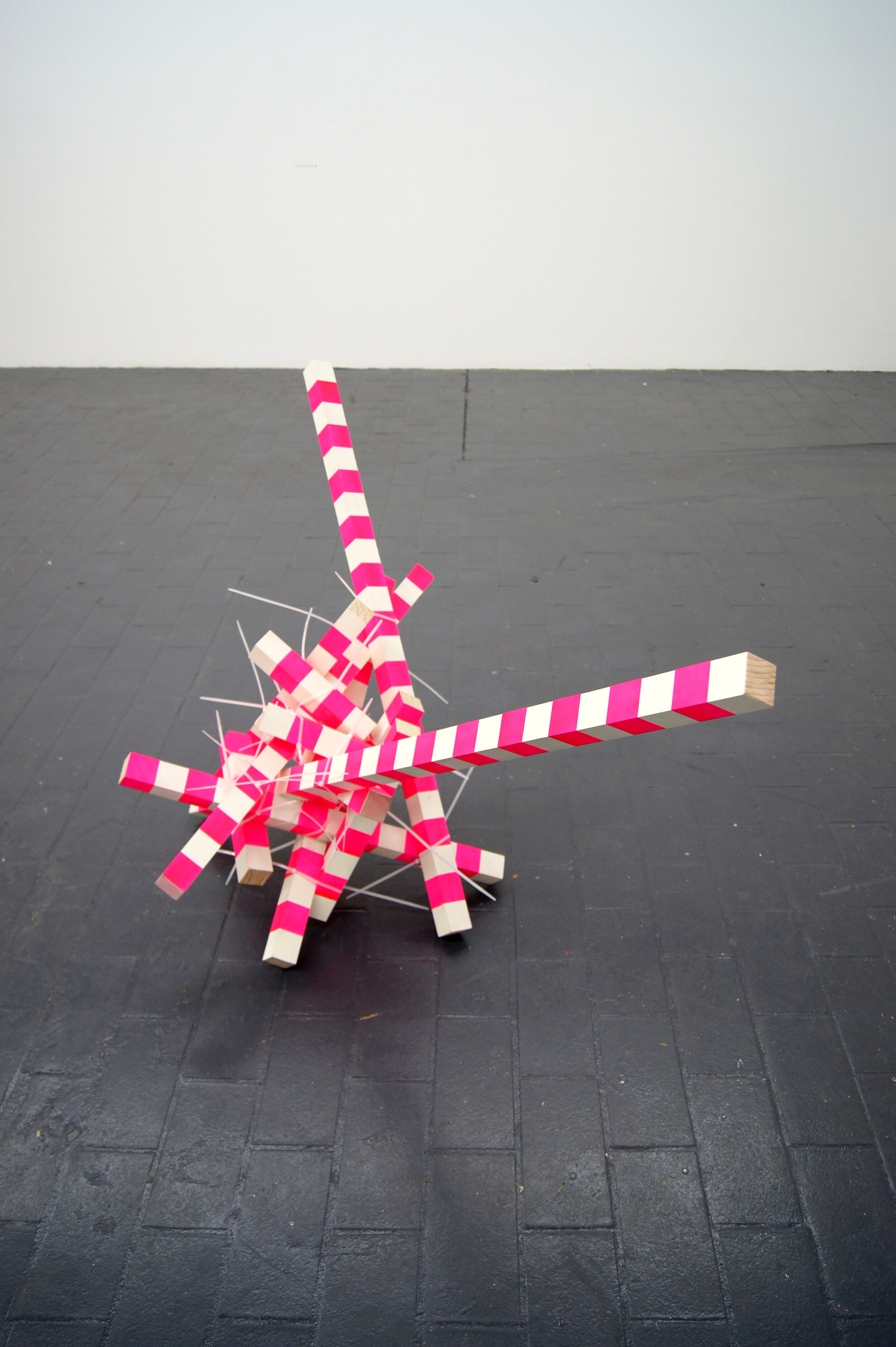   Poles maquette (42mm) , 2016 oak, cable ties, spray paint 80 x 120 x 60cm 