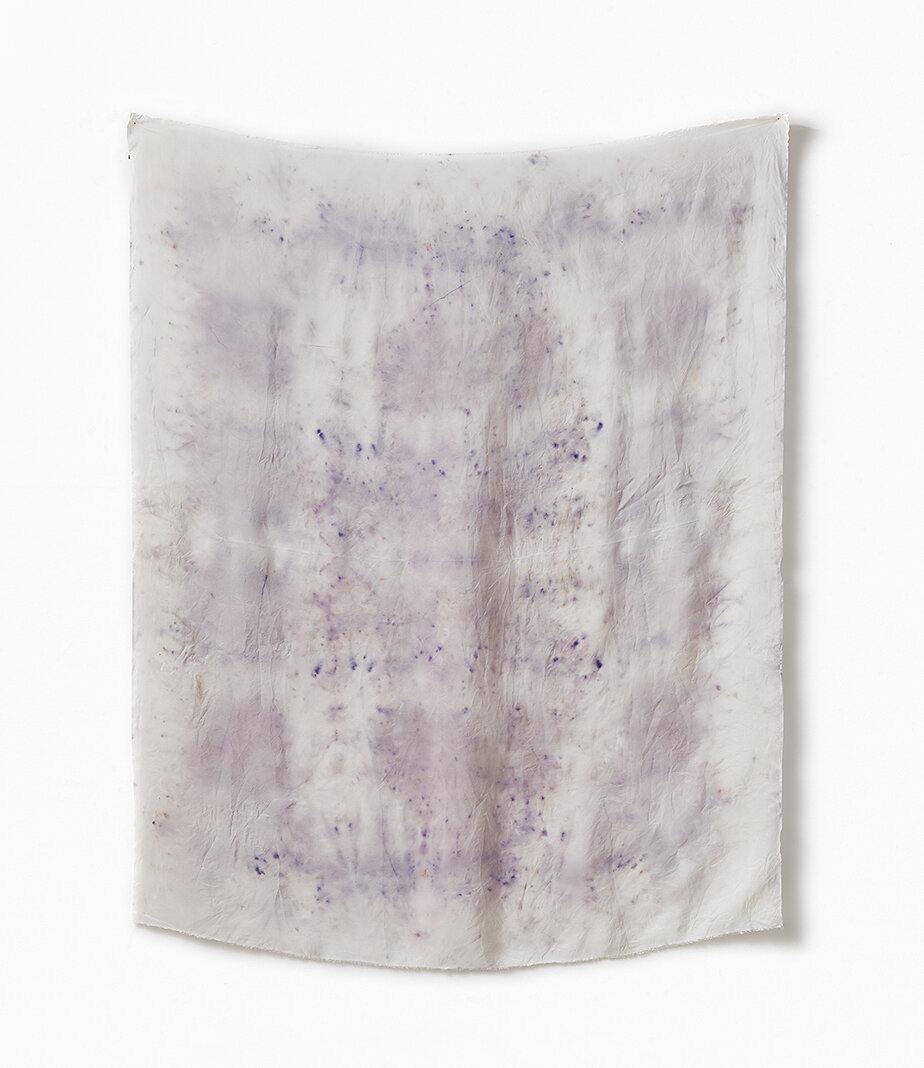   Botanical Backdrop V , 2017  inkjet on cotton rag, edition of 5 128 x 110cm 