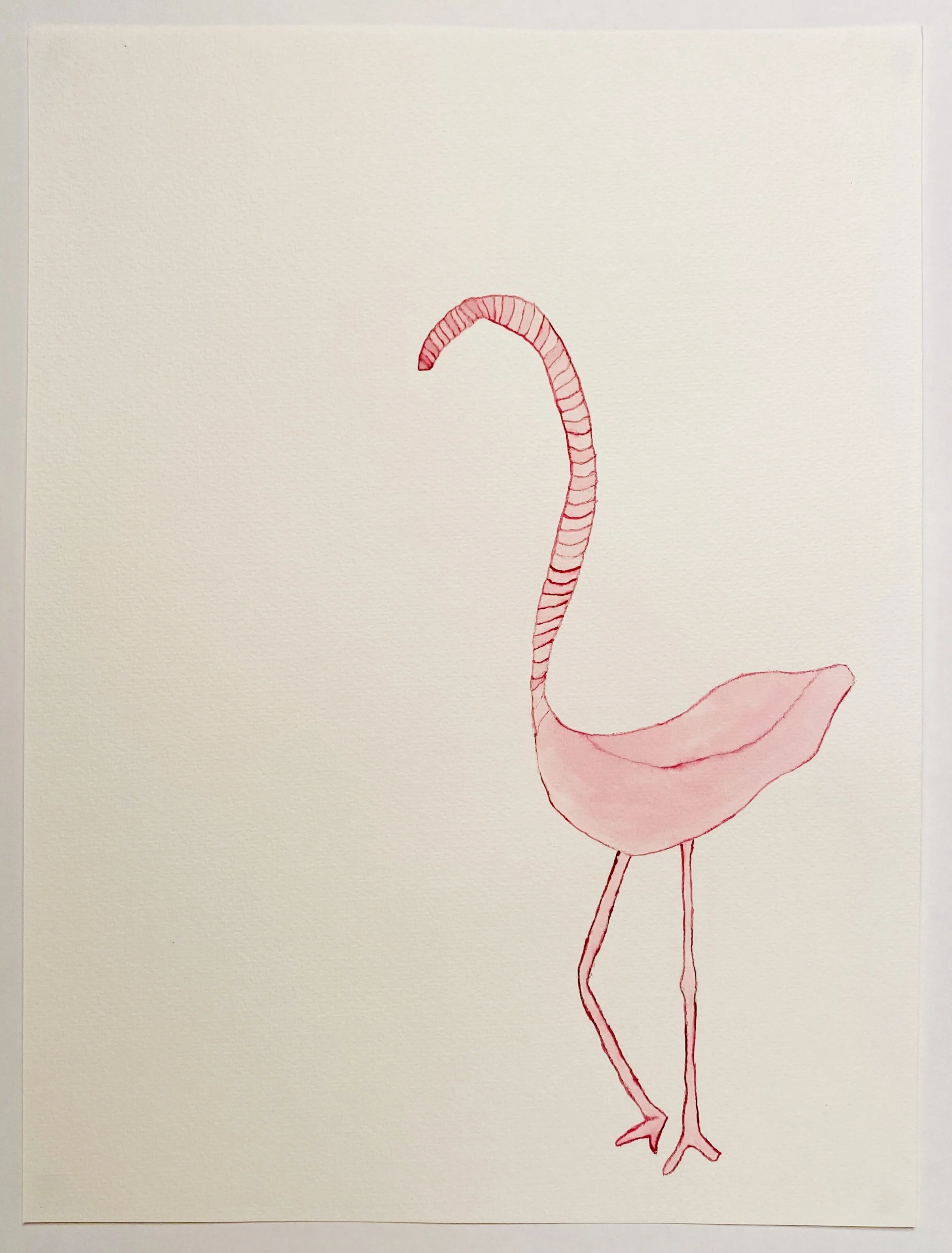 Flamingo Worm