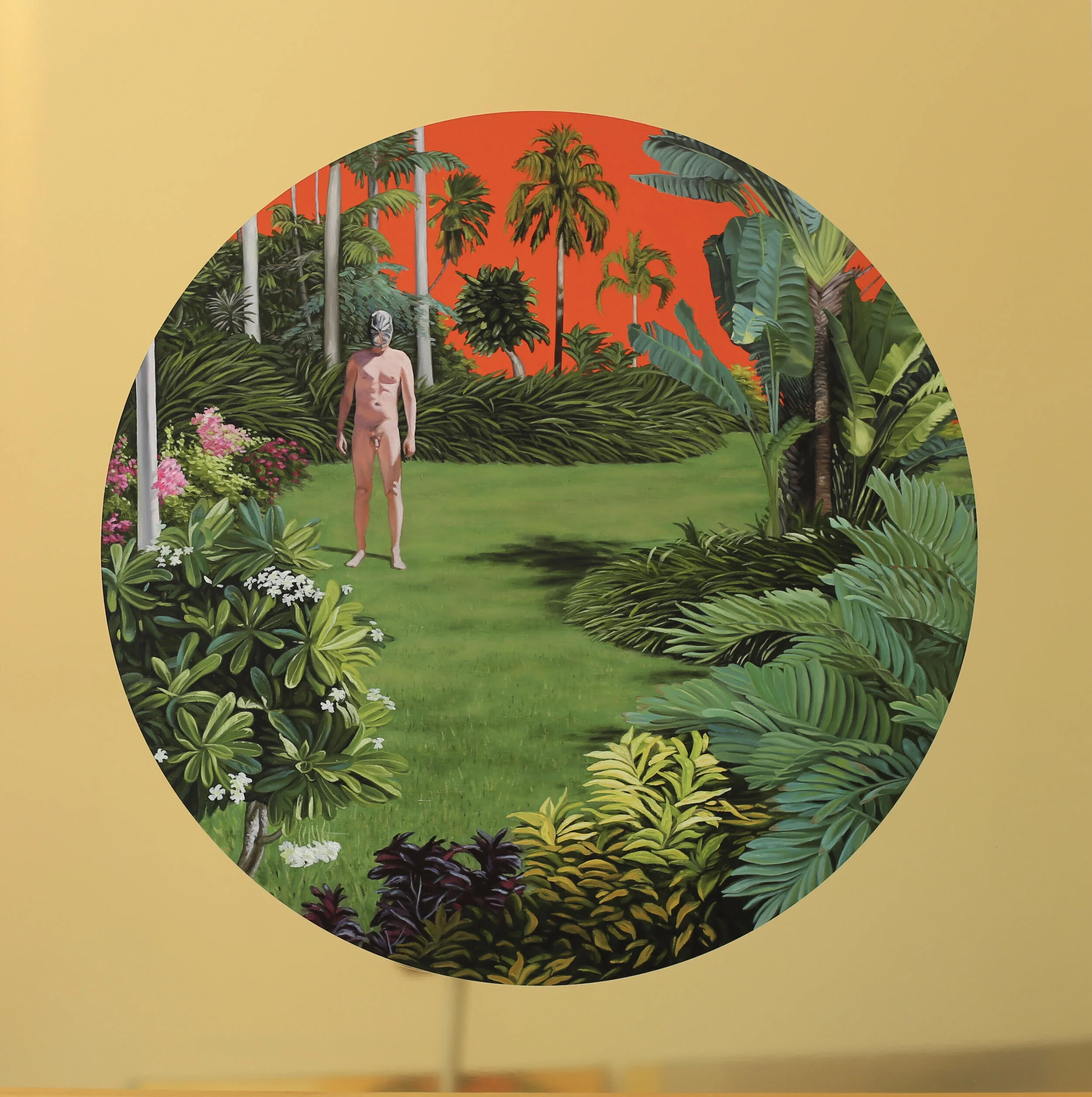 Joshua Cocking, Ghost plant, solo exhibition