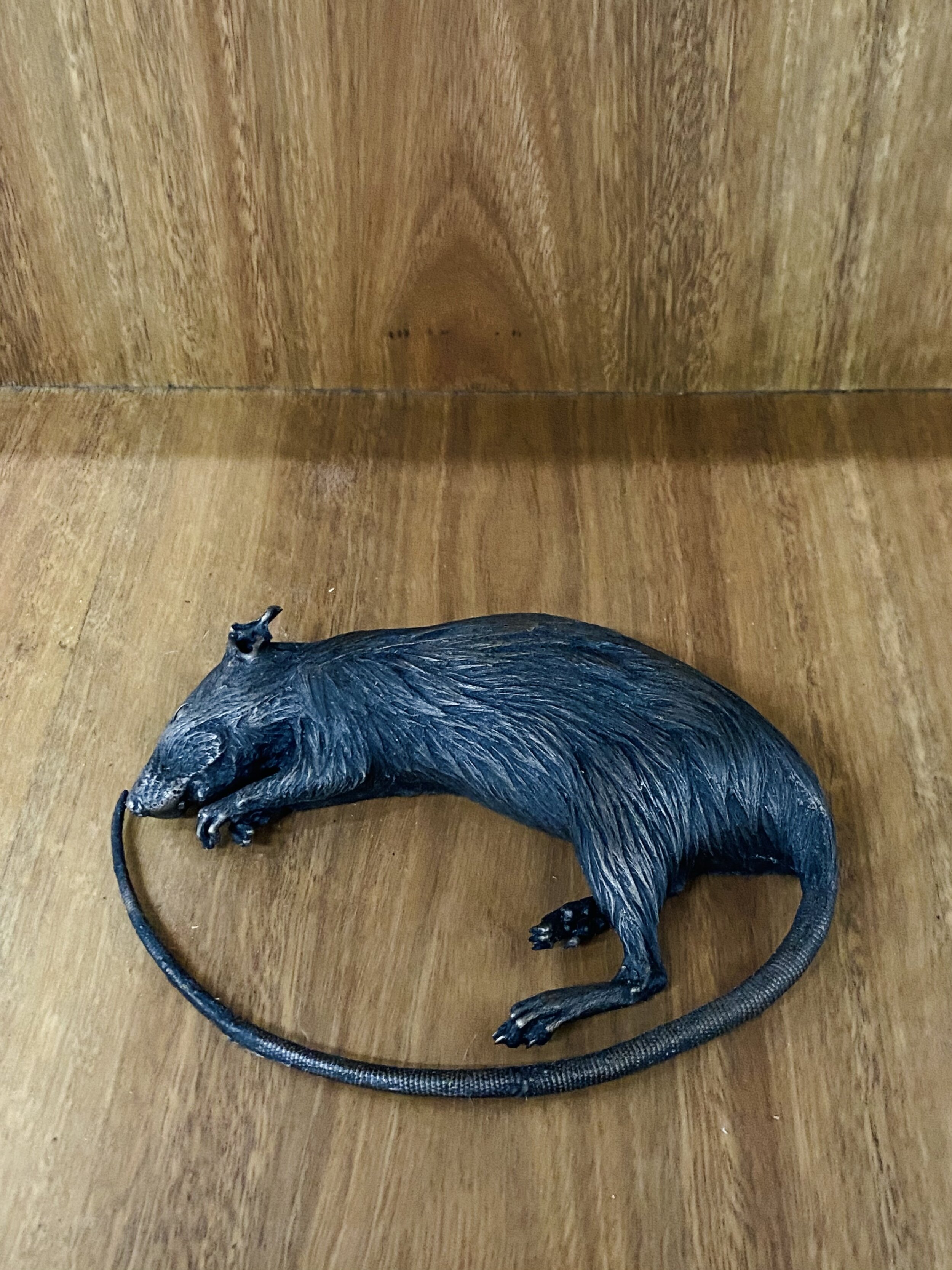 james-tylor-rebecca-selleck-meatsafe-with-rat-10.jpg