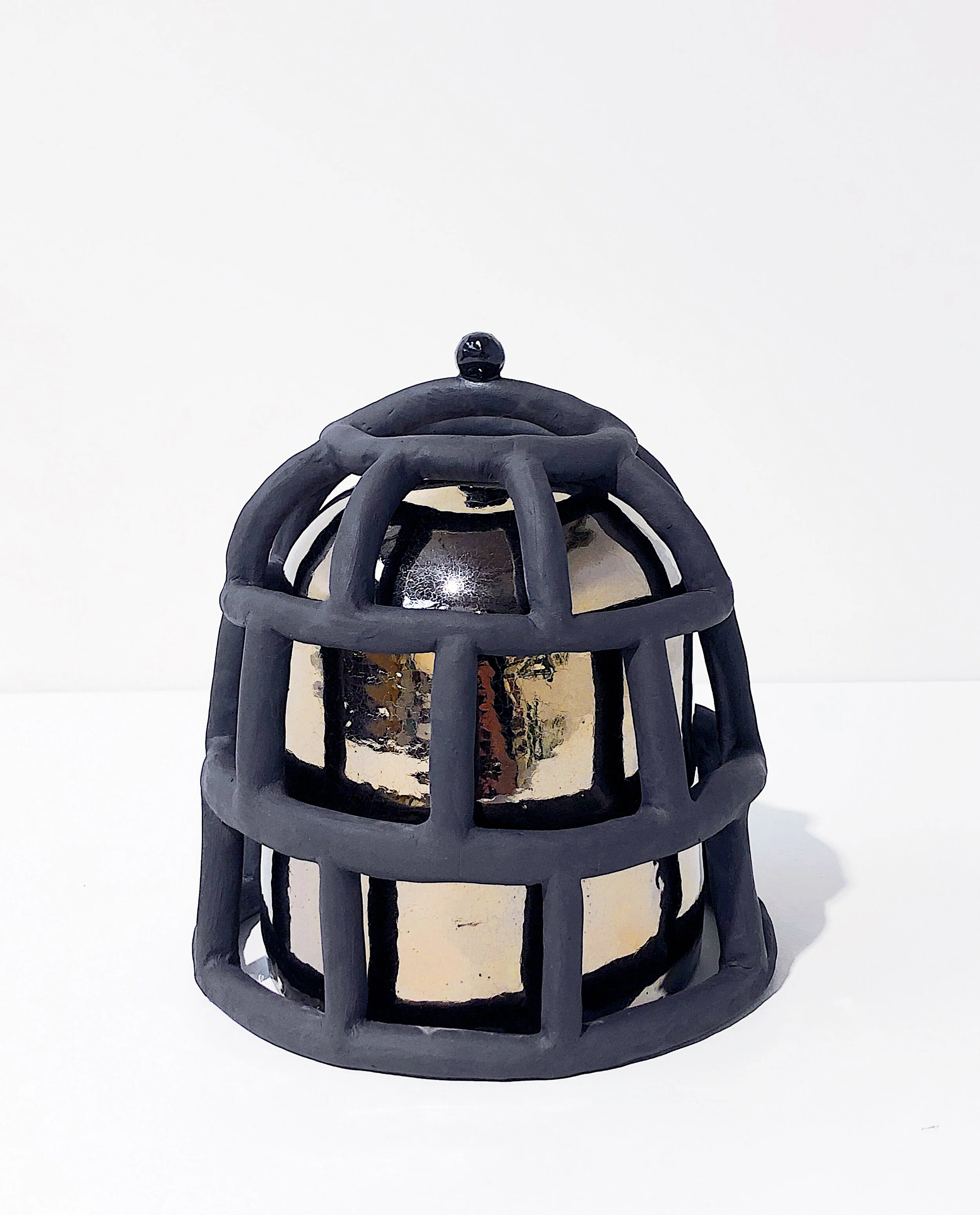 alichia-van-rhijn-caged-and-confused-1.JPG